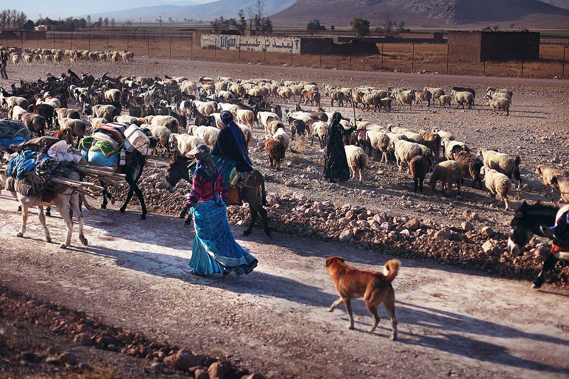Qashqai family in transhumance between Yasuj and Firuzabad / Famille de Qashqais en pleine transhumance entre Yasuj et Firuzabad | IRAN