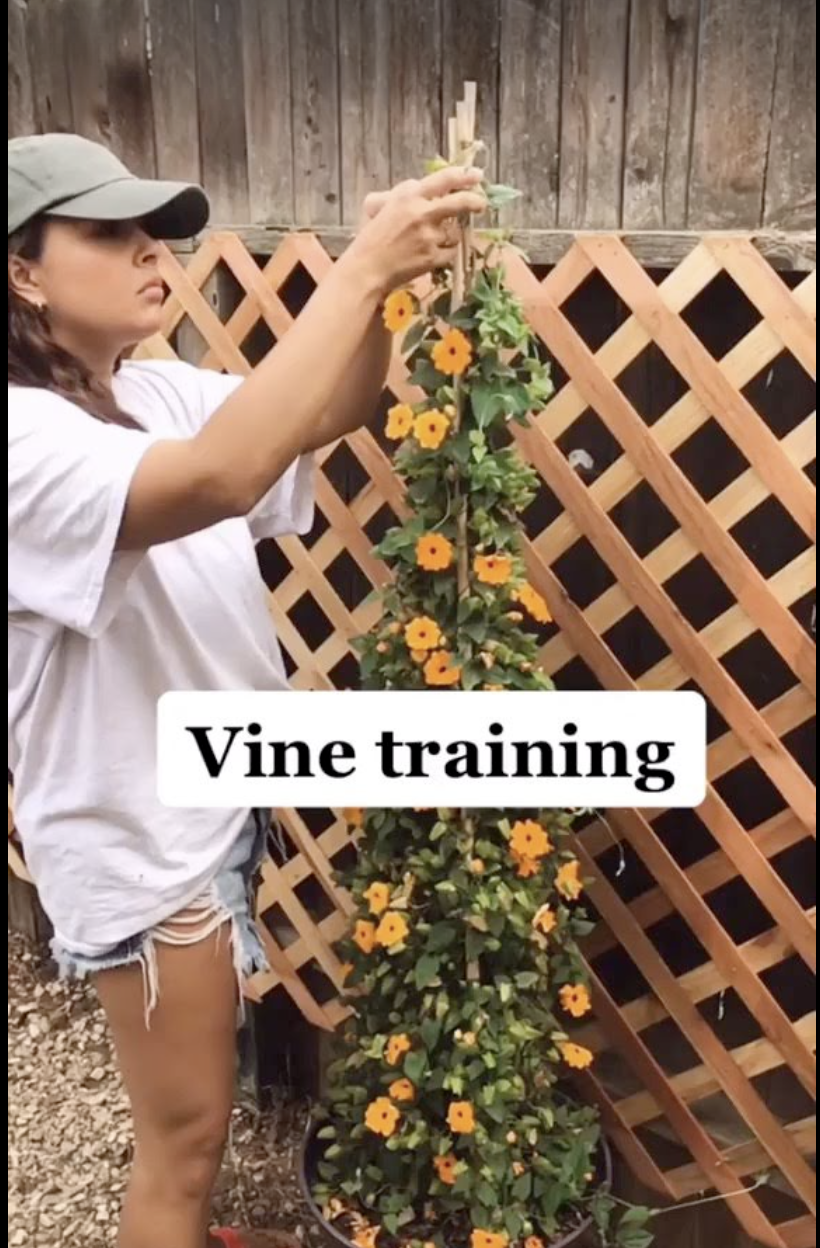 Screenshot 2024-10-10 at 4.59.23 PM.png