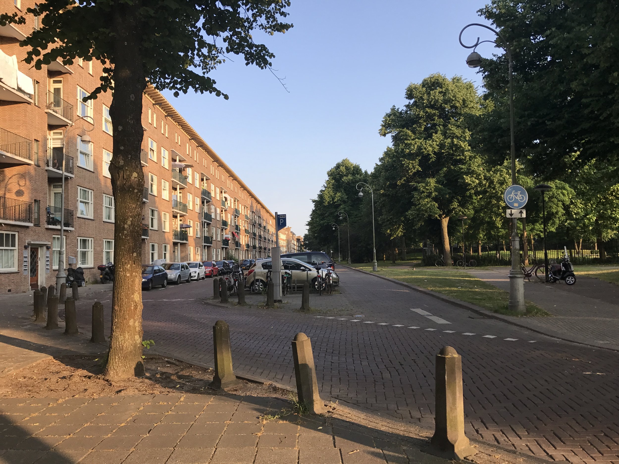 This is a small park that's just one building away from our apartment building. The road veering to the left is for cars only and the one in the middle is for bikes only, and then the pedestrian path all the way on the right. 