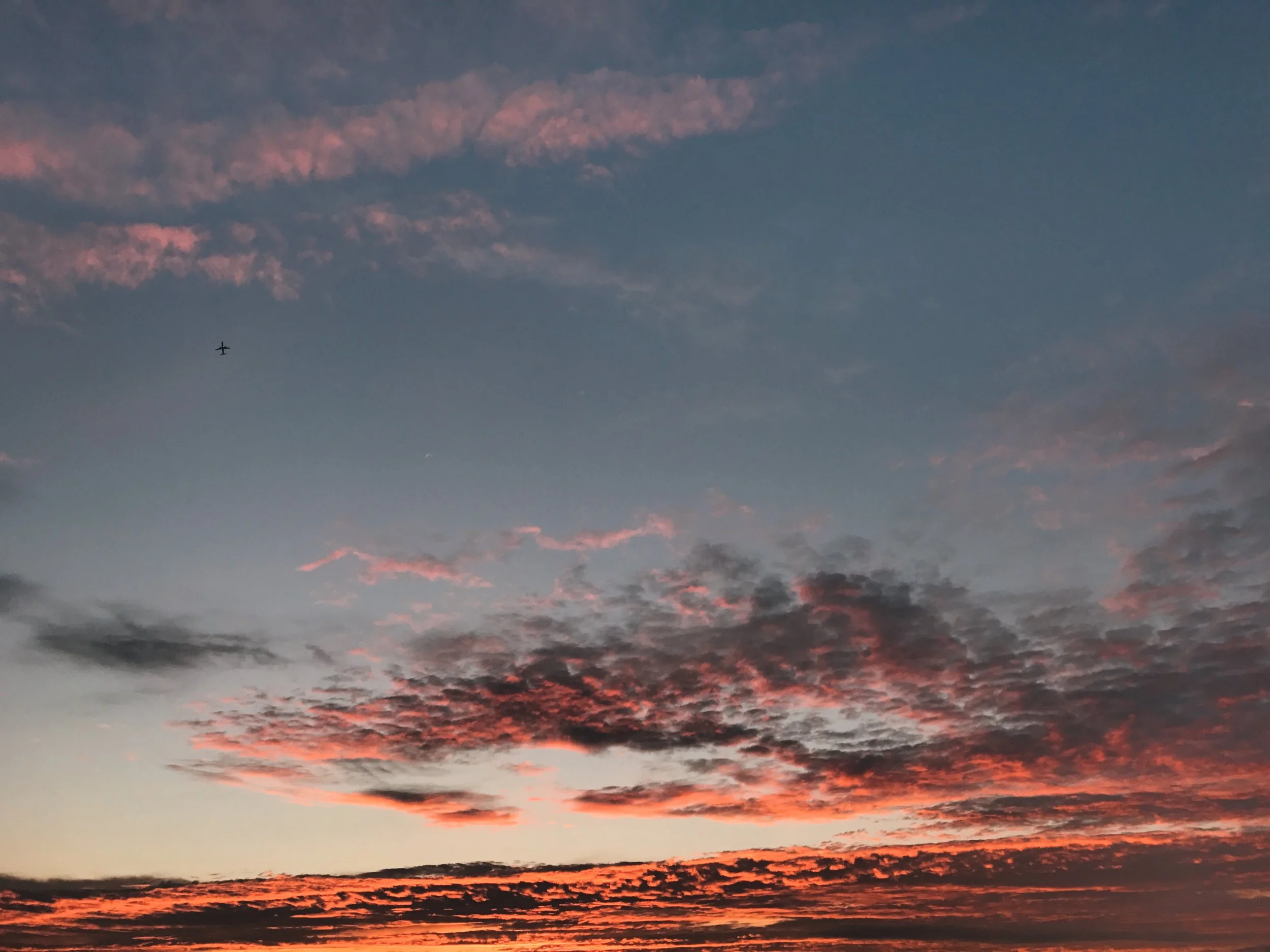 1BA093AA-4B6C-48DE-9108-02674BCBE30F.jpg