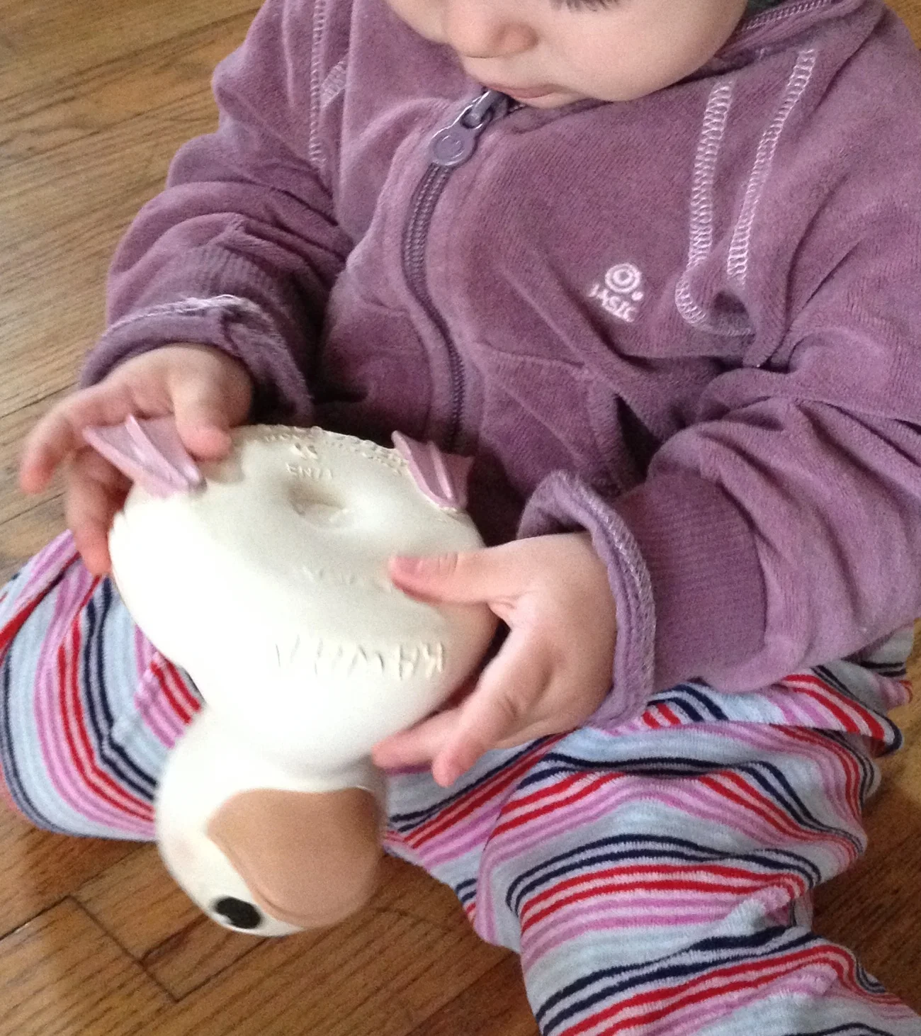 little-moldy-rubber-ducky-little-wholesome