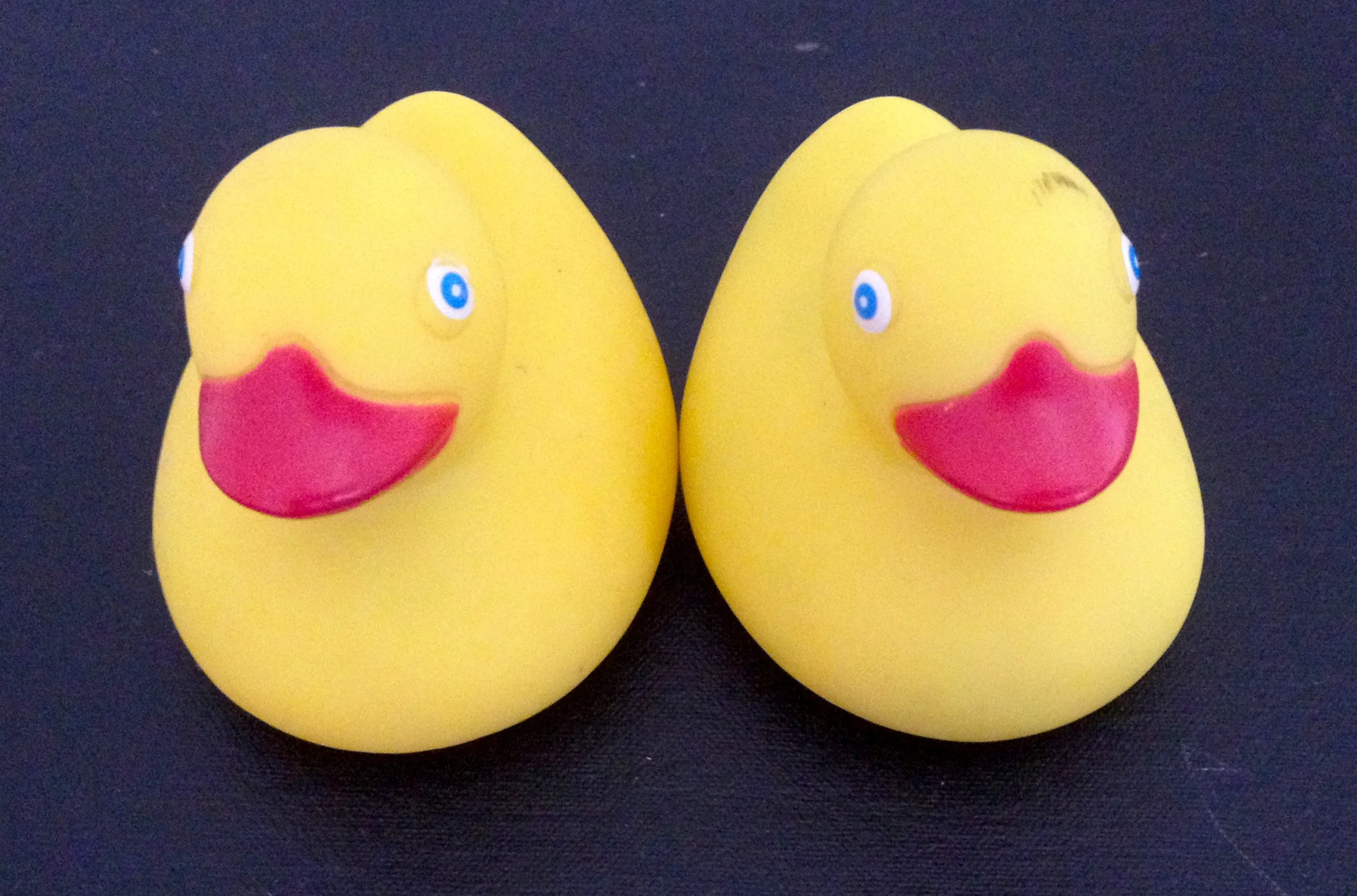 little moldy rubber ducky