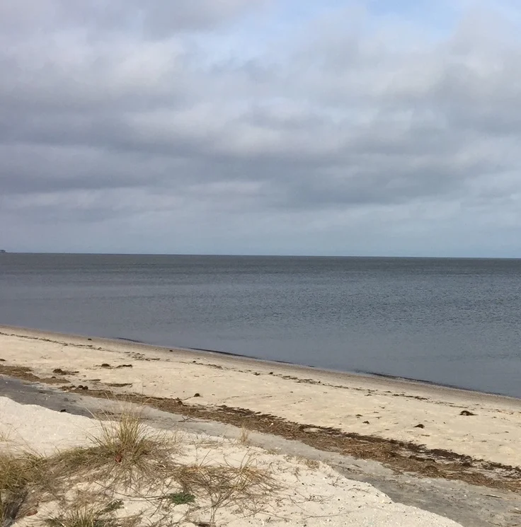 love poem, by victoria williams