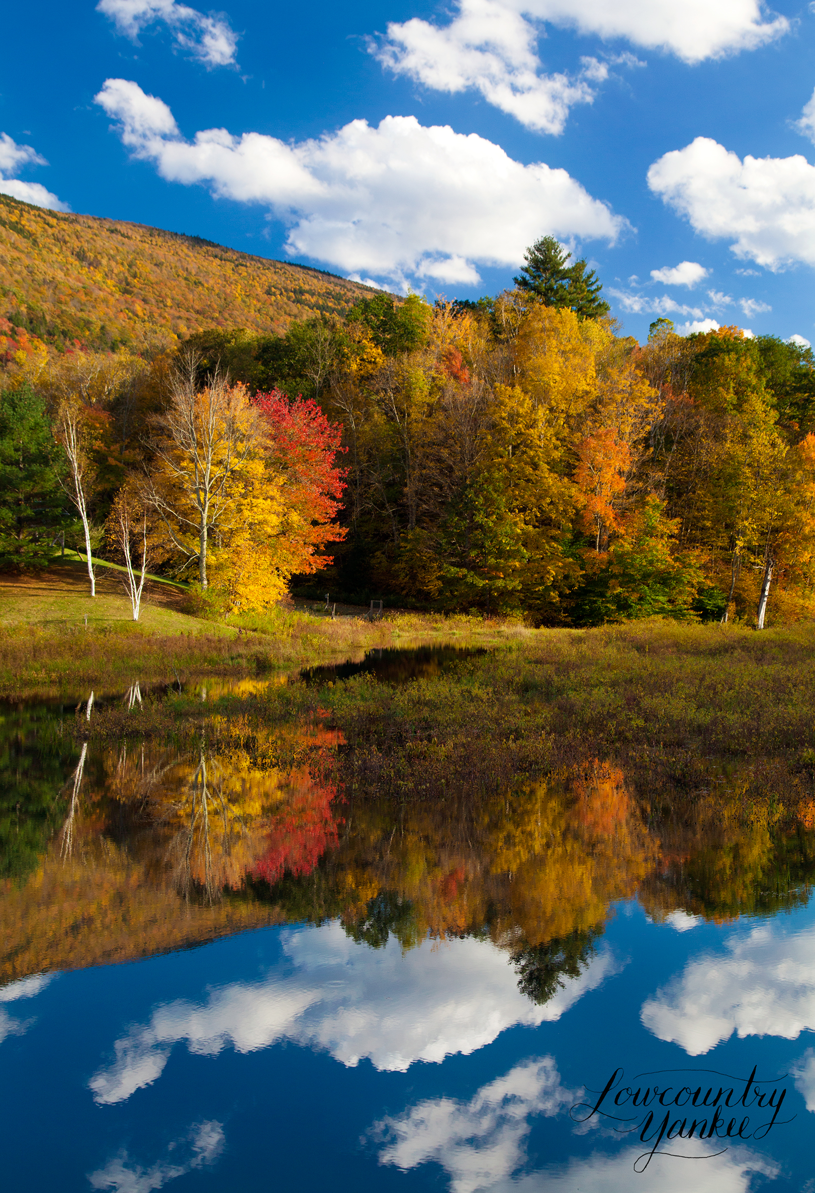 Farm reflections on a rustic road in VT.