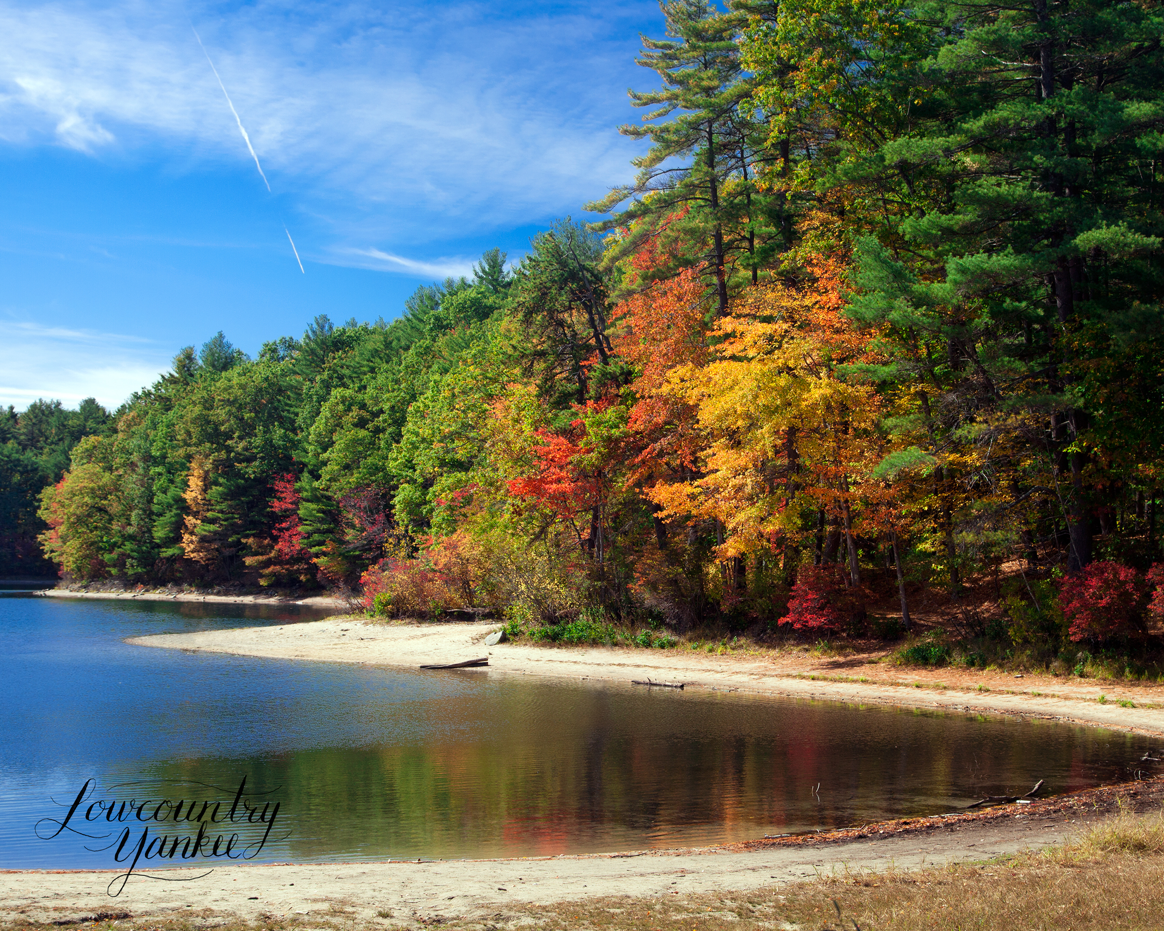 Autumnal tints reflect in Walden Pond