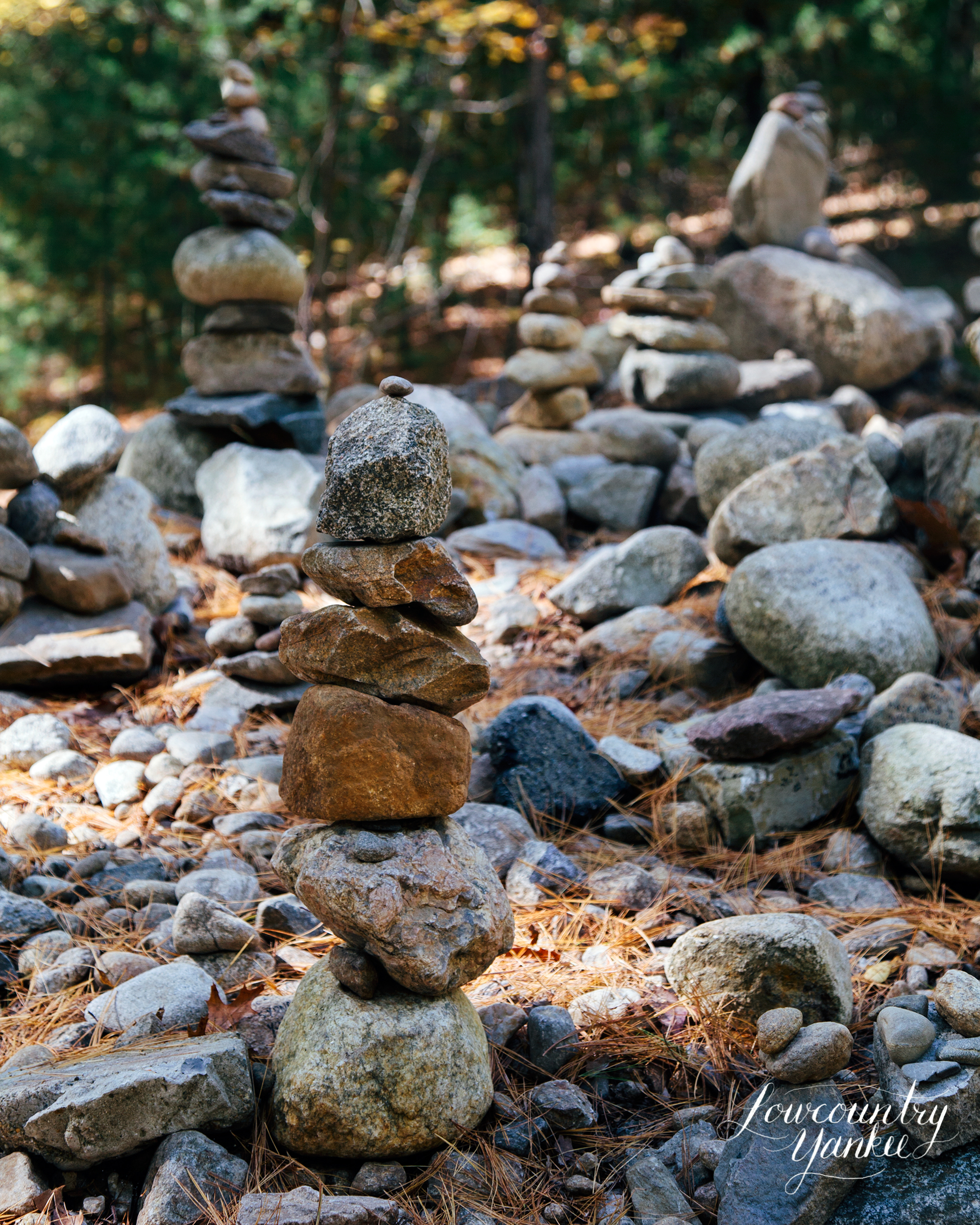 A rock monument started by Bronson Alcott to mark the place where Thoreau's cabin once stood.