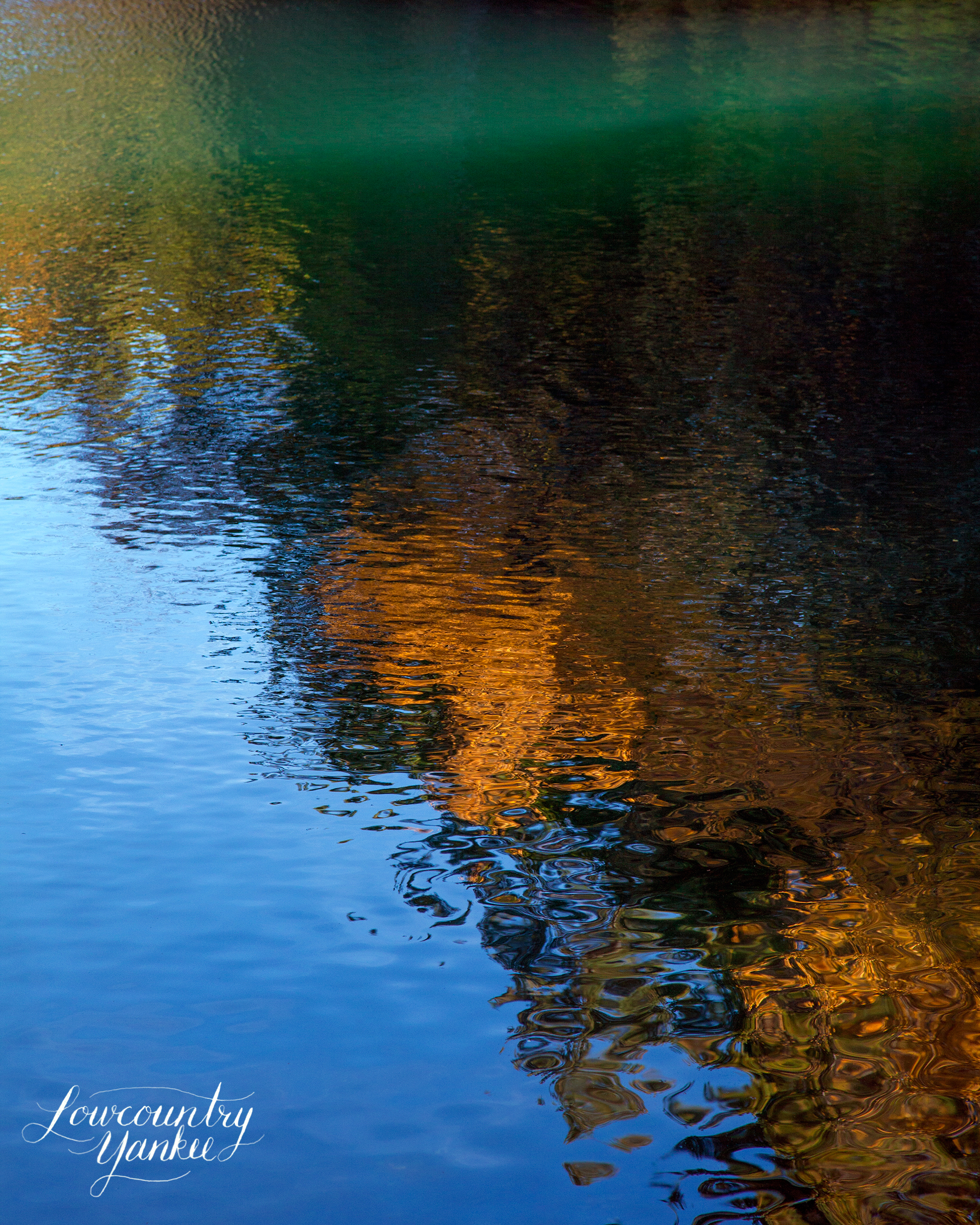 Reflections in Walden Pond.
