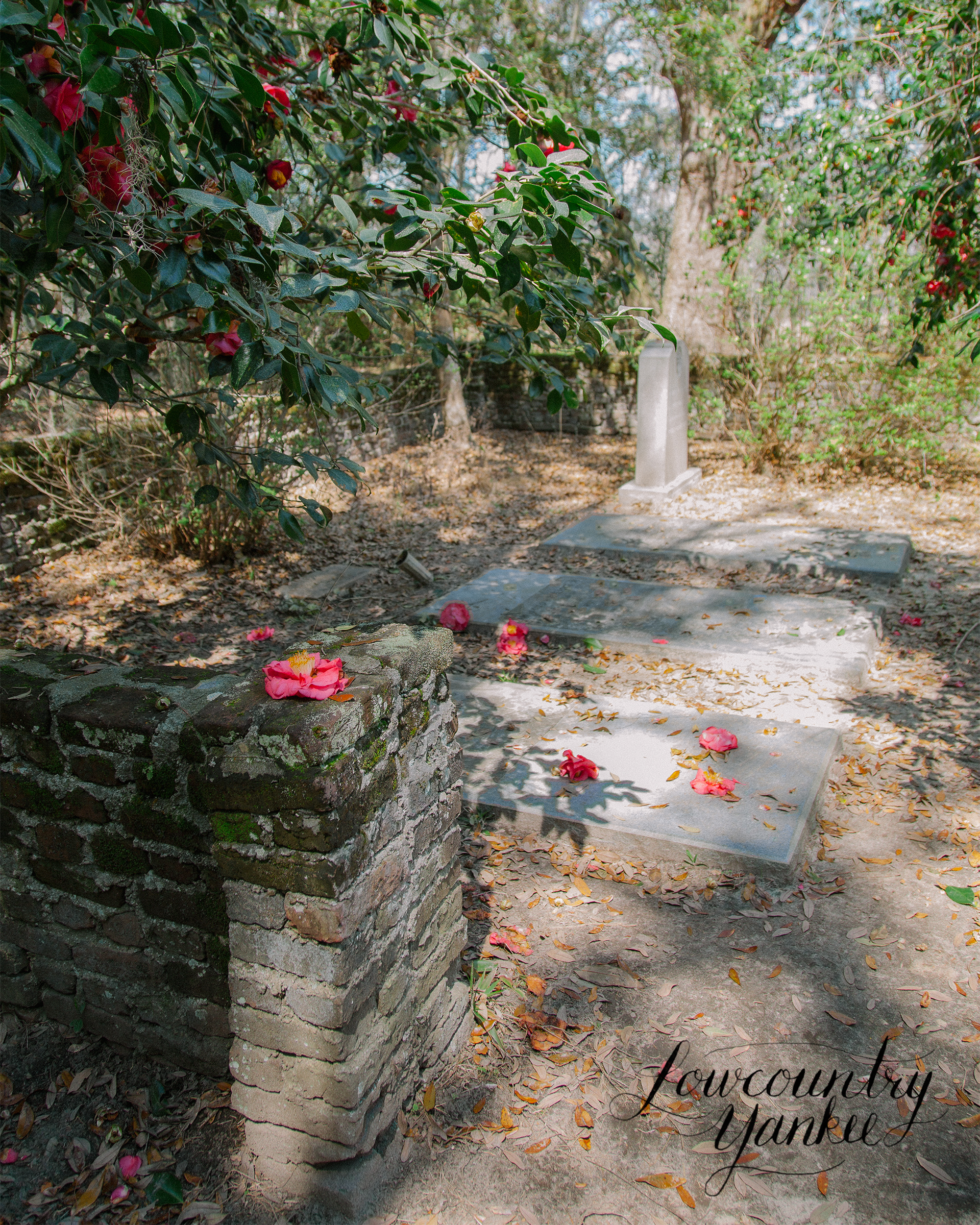 The Rutledge Family cemetery