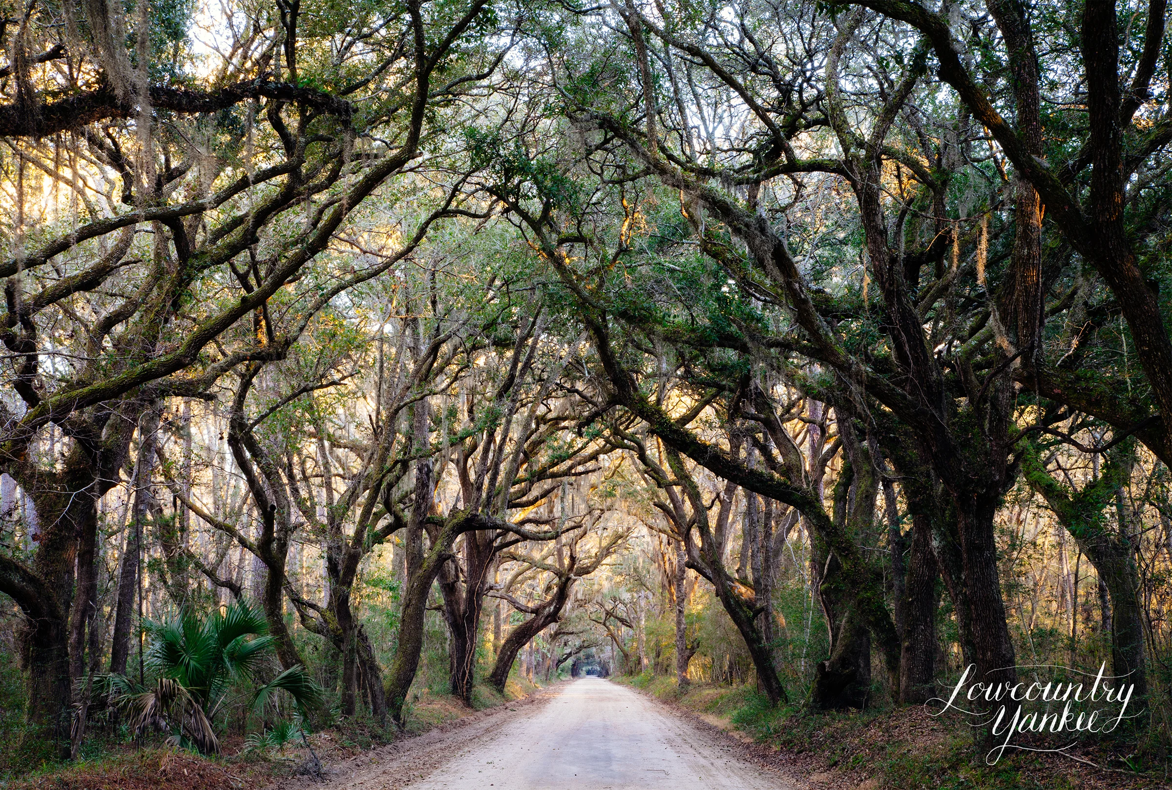 Botany Bay Road