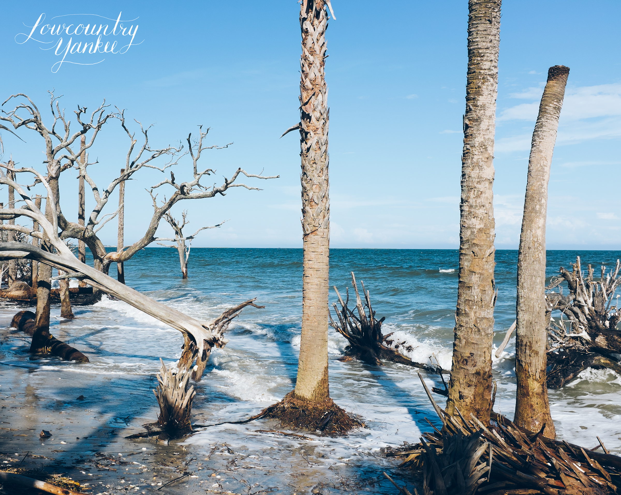 Boneyard Beach