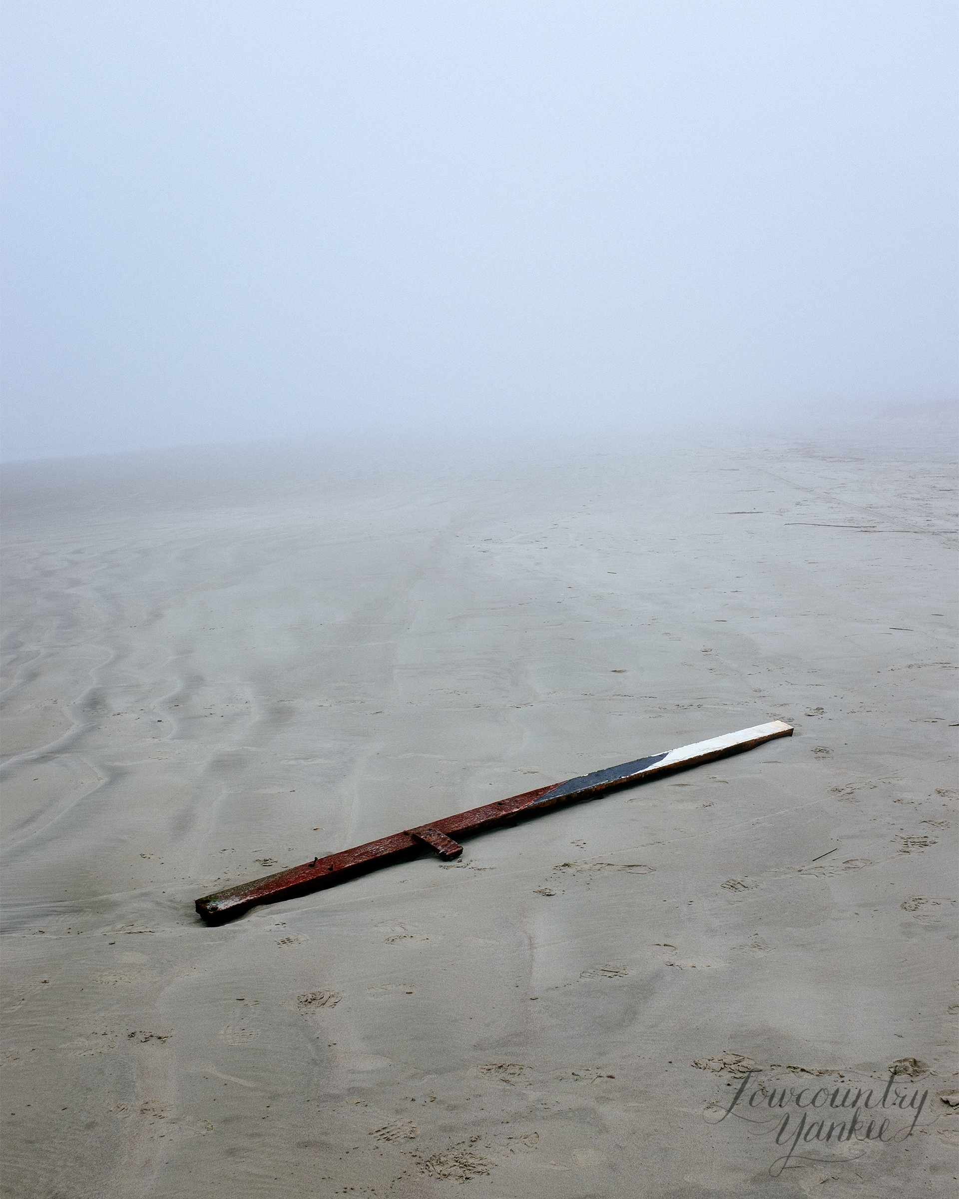 Driftwood washed ashore on a foggy morning at Kiawah.
