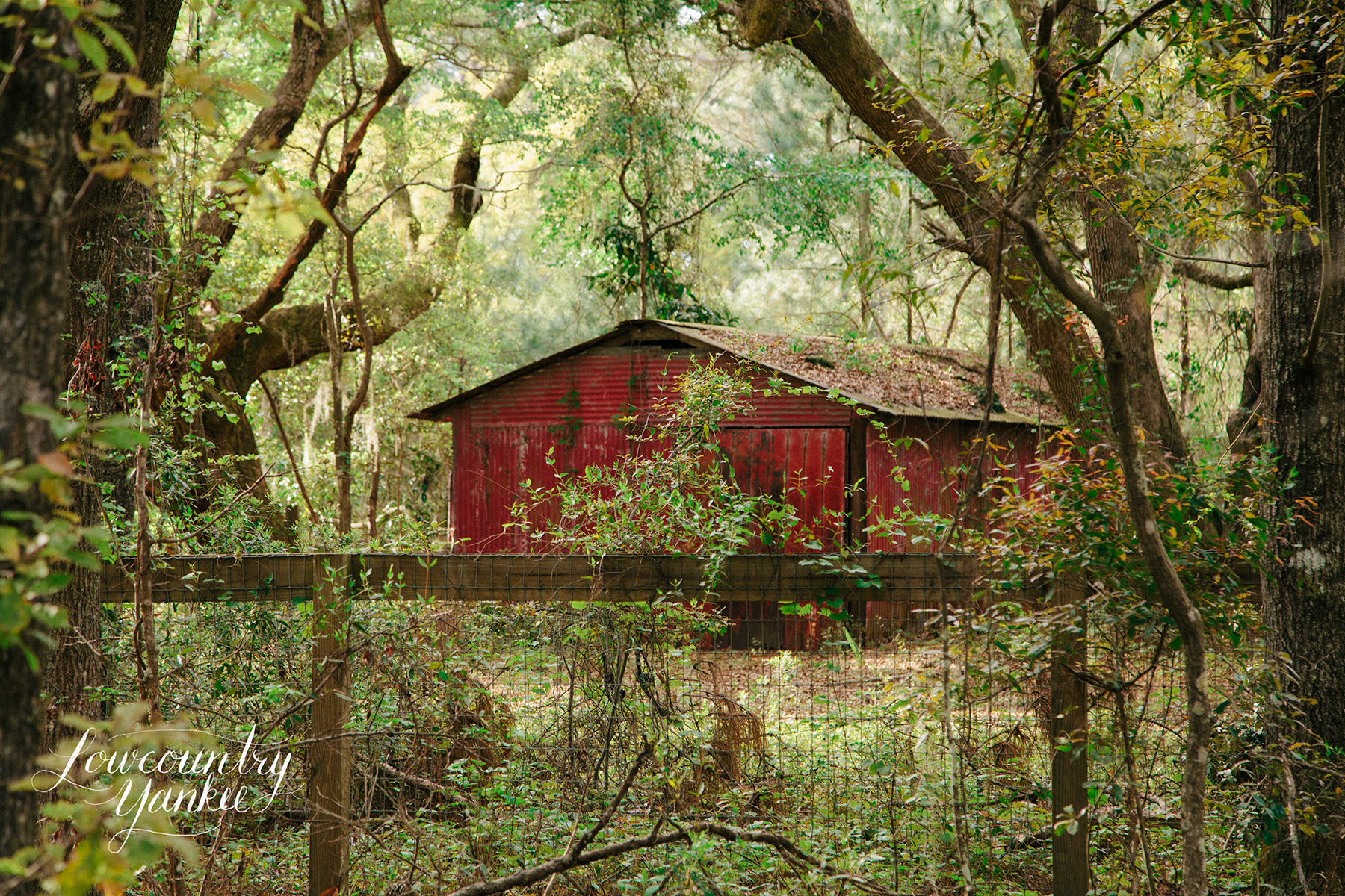 Farm on Wadmalaw Island