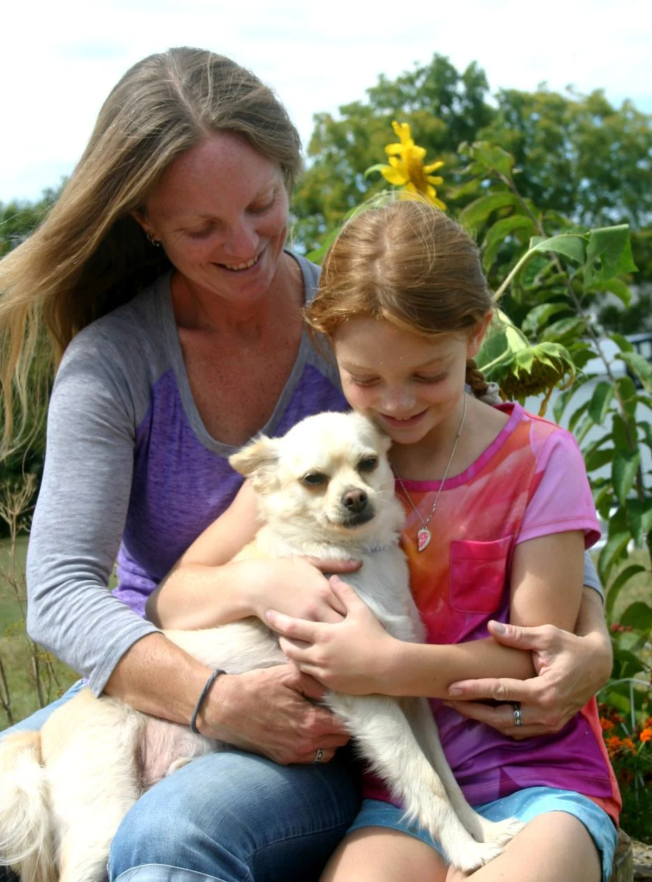 The Balanced Dog provides dog training services in Keezletown, Virginia and surrounding areas. Leo is a new addition to The Balanced Dog family, having been adopted after we provided extensive training for his aggression.