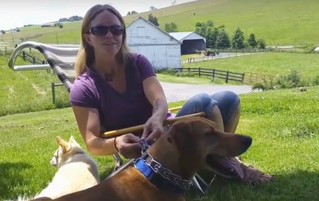 I spent a day creating some videos where I discuss my philosophy. Thank you to my dog Leo and my client's dog Tex for helping out!