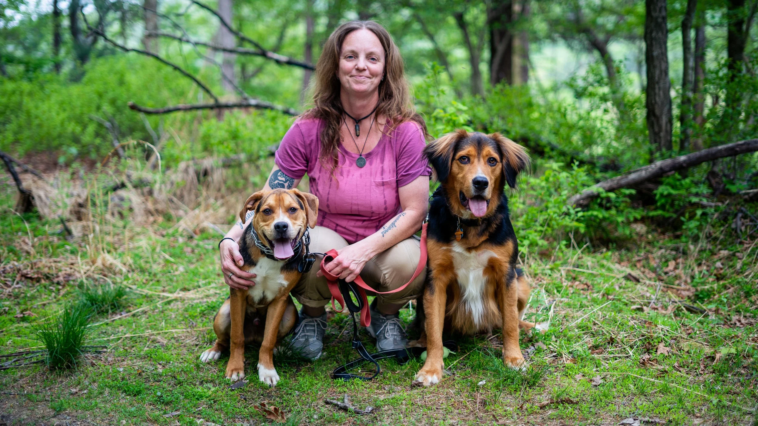 dog behavior specialist