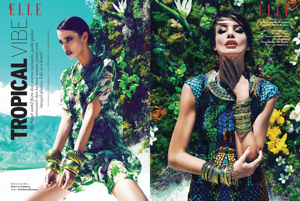 Tropical Vibe 1.jpg