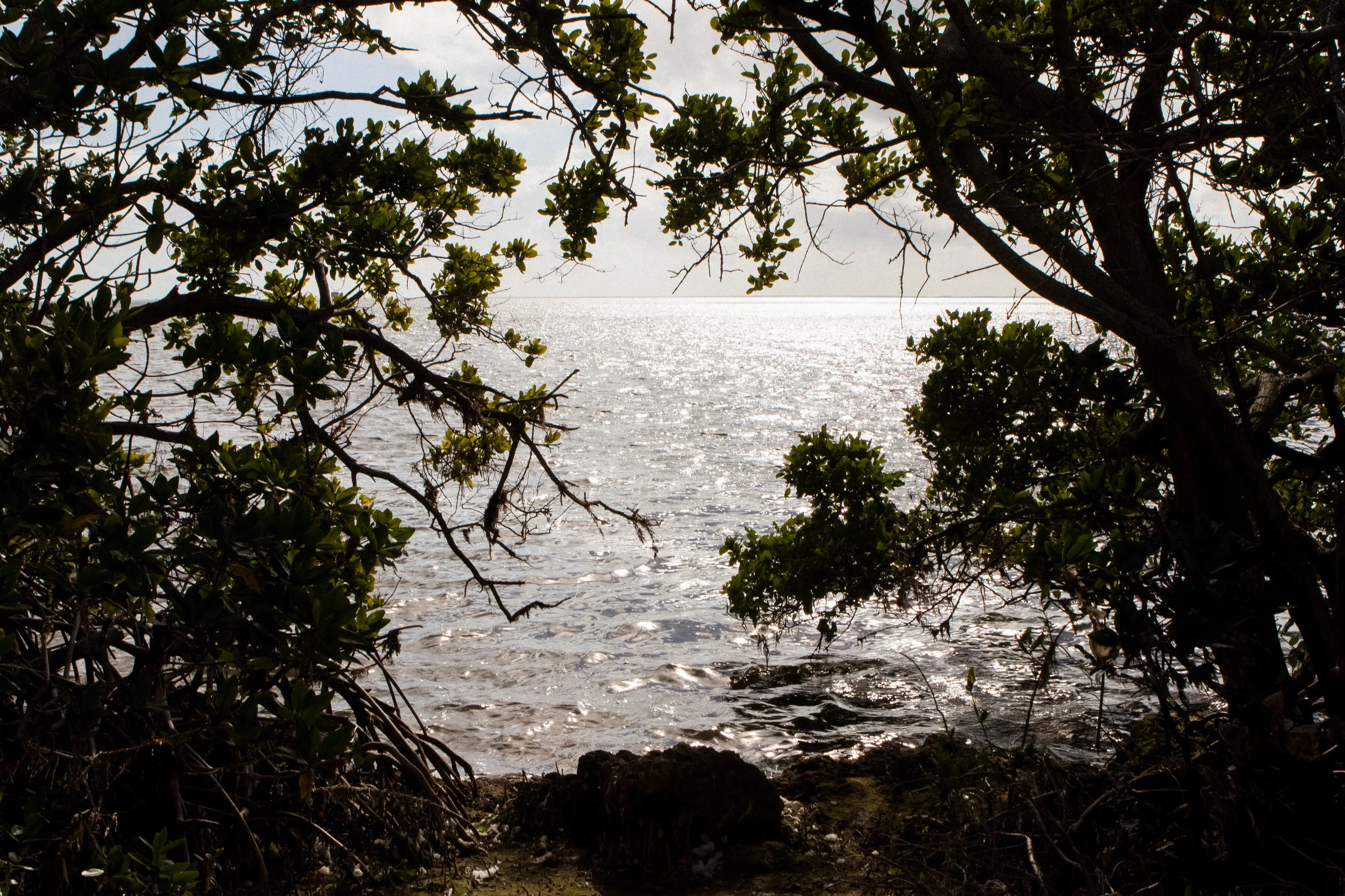 Provision in the Storm