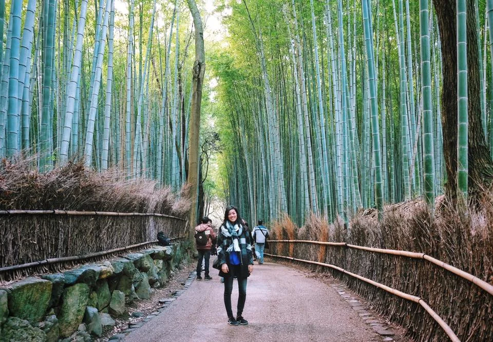 arashiyama_bamboo_forest.jpg