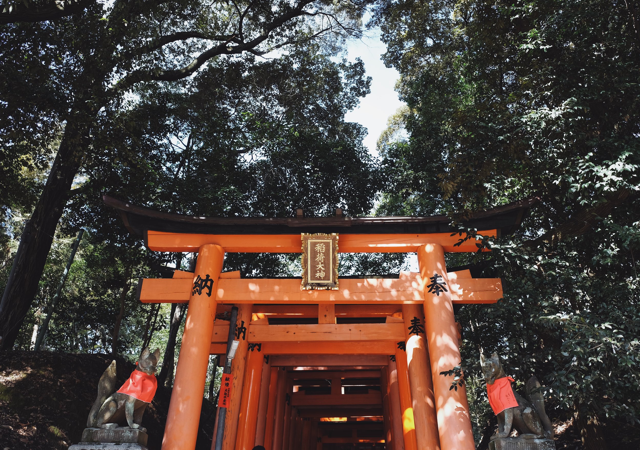 Processed with VSCO with a9 preset