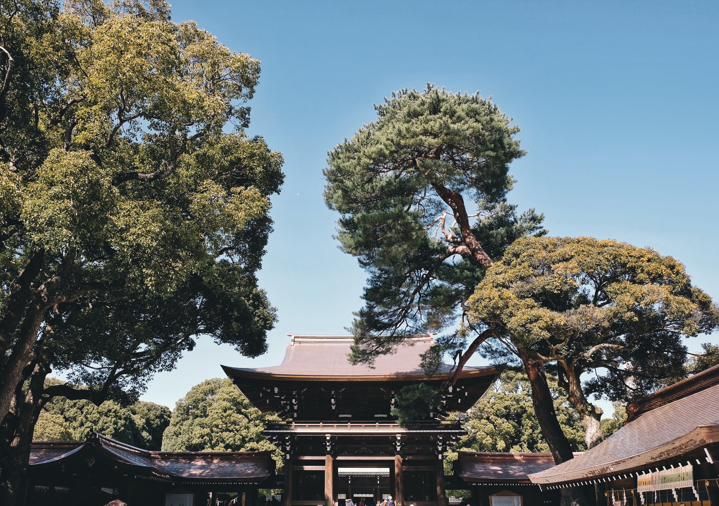 Processed with VSCO with e5 preset