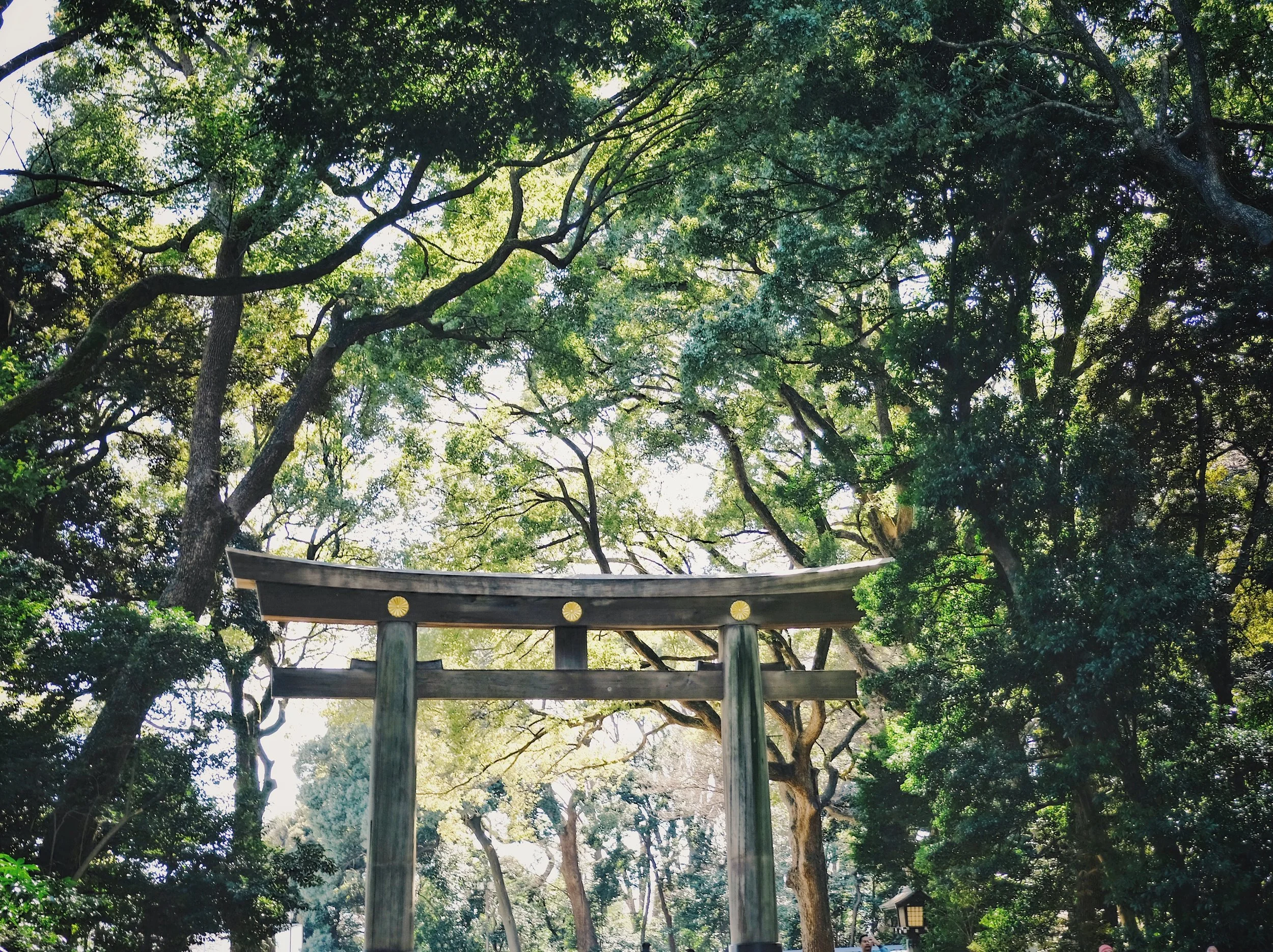 Processed with VSCO with g1 preset