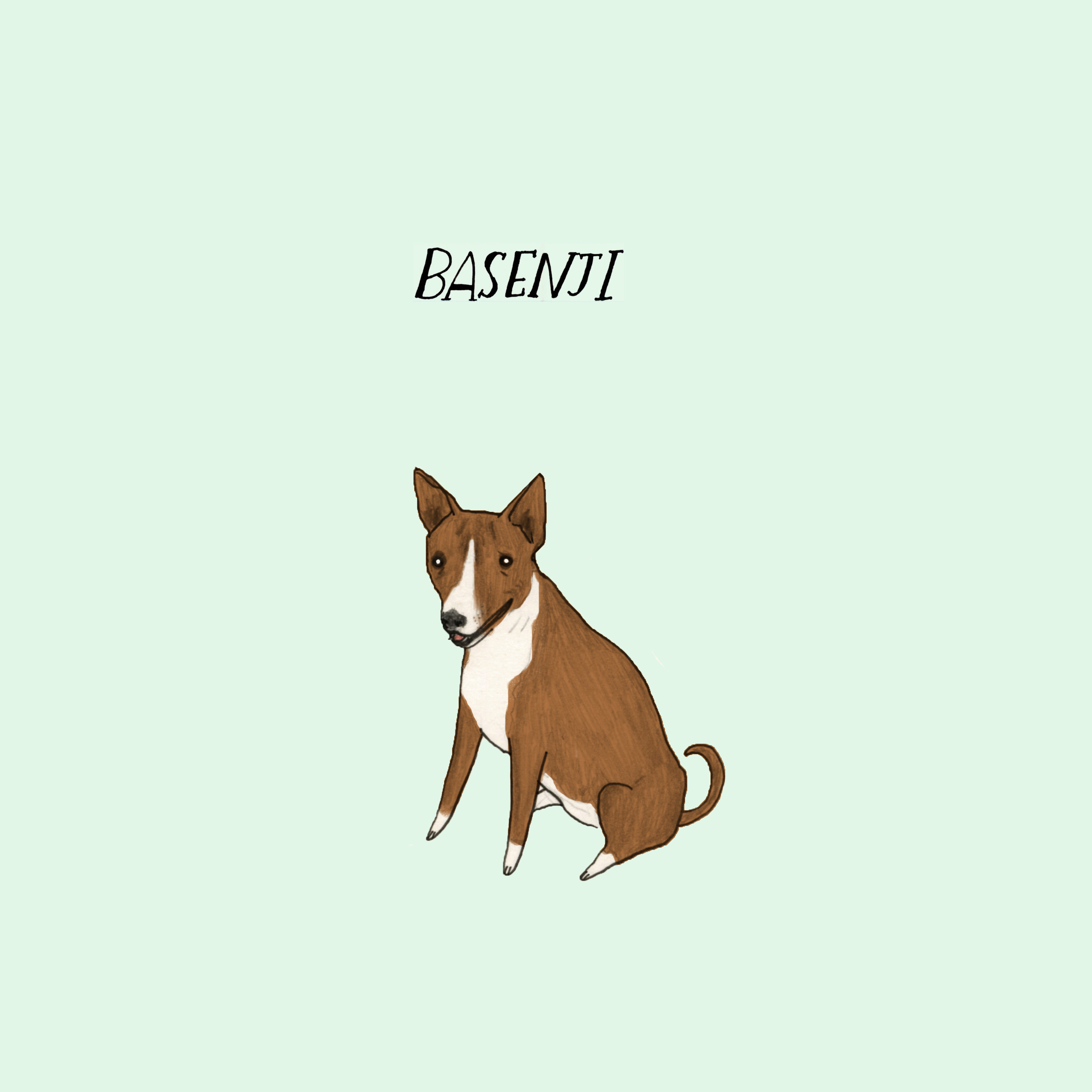 Dogadaybasenji.jpg