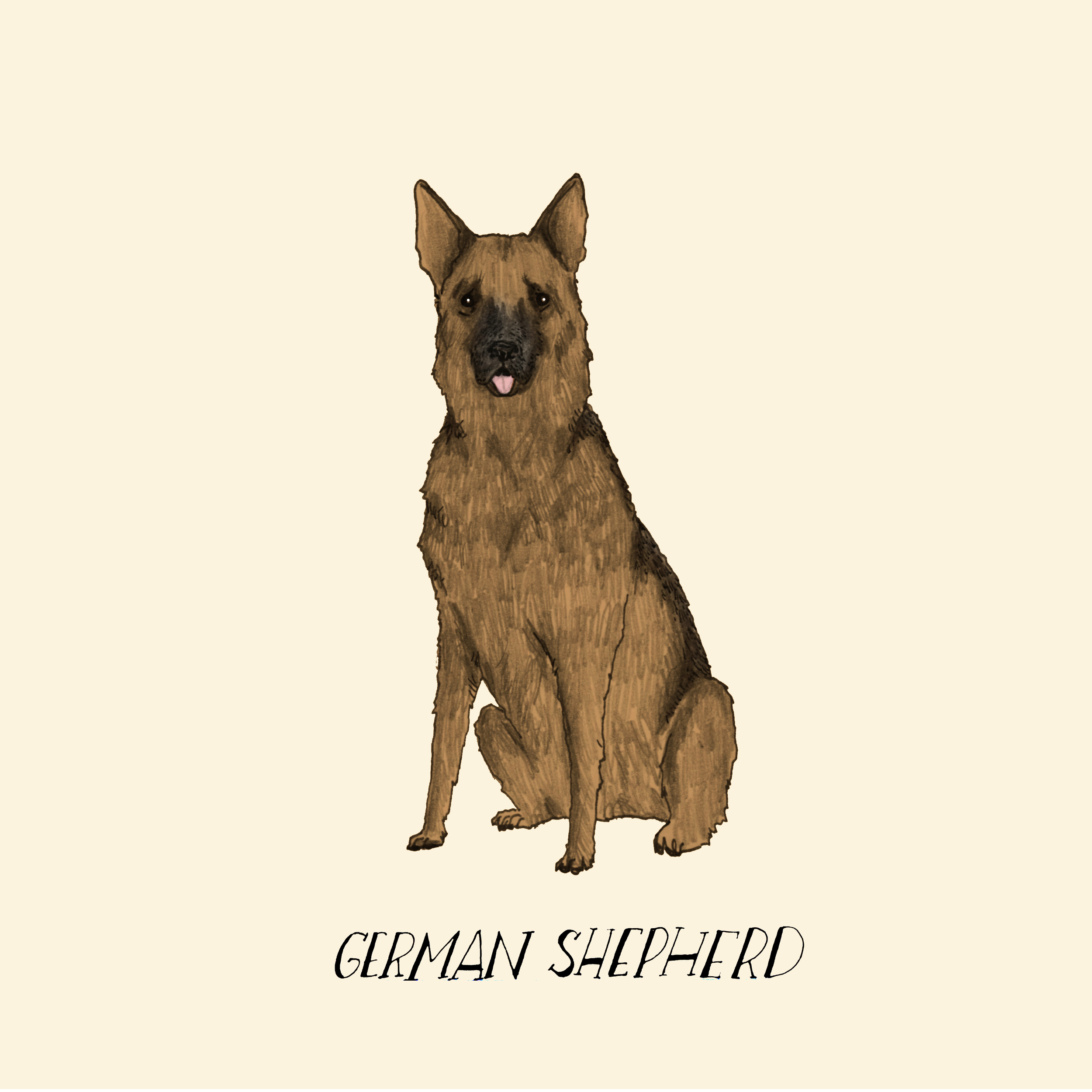 Dogadaygermanshepherd.jpg