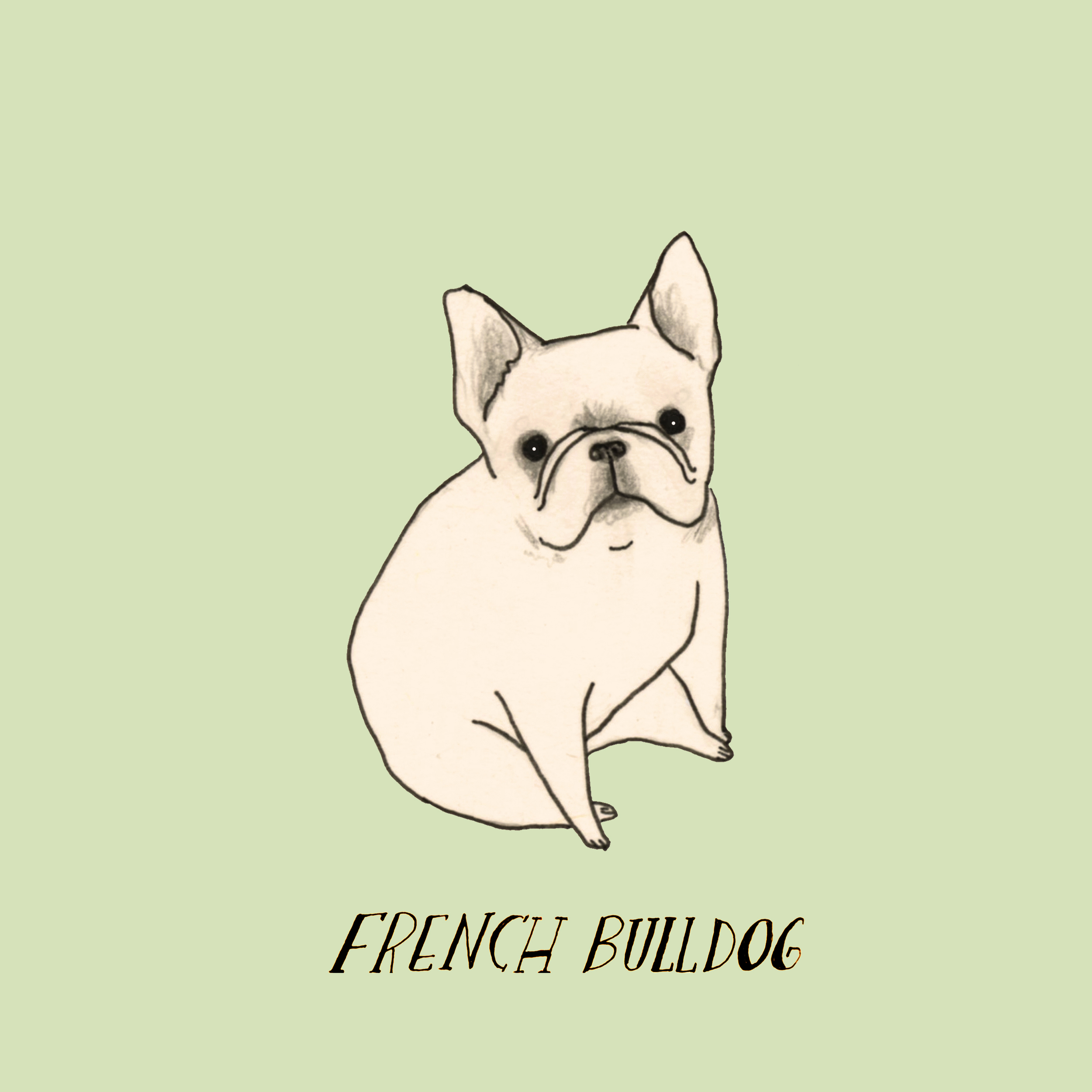 DogadayFrenchbulldog.jpg