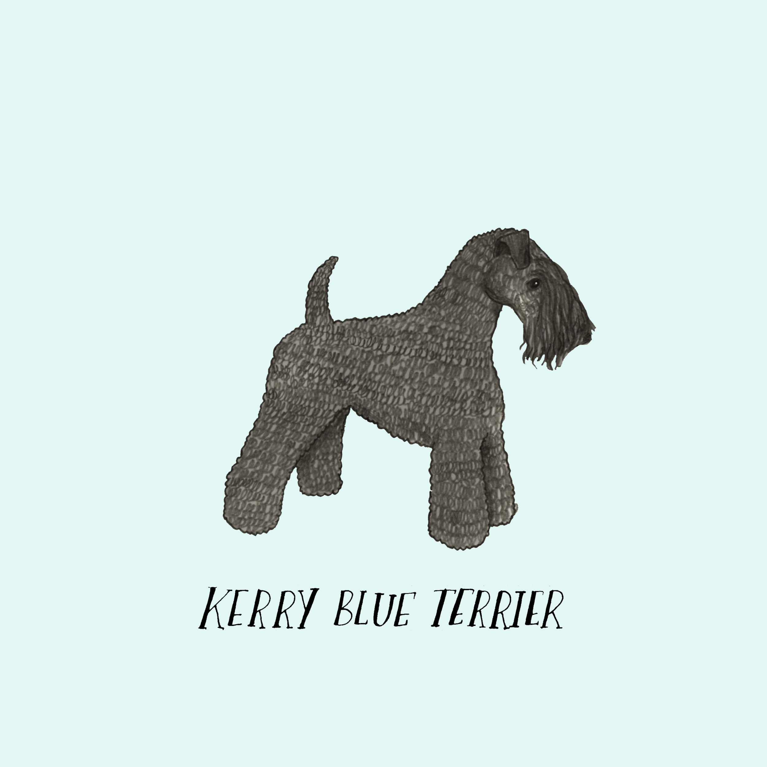 Dogadaykerryblueterrier.jpg