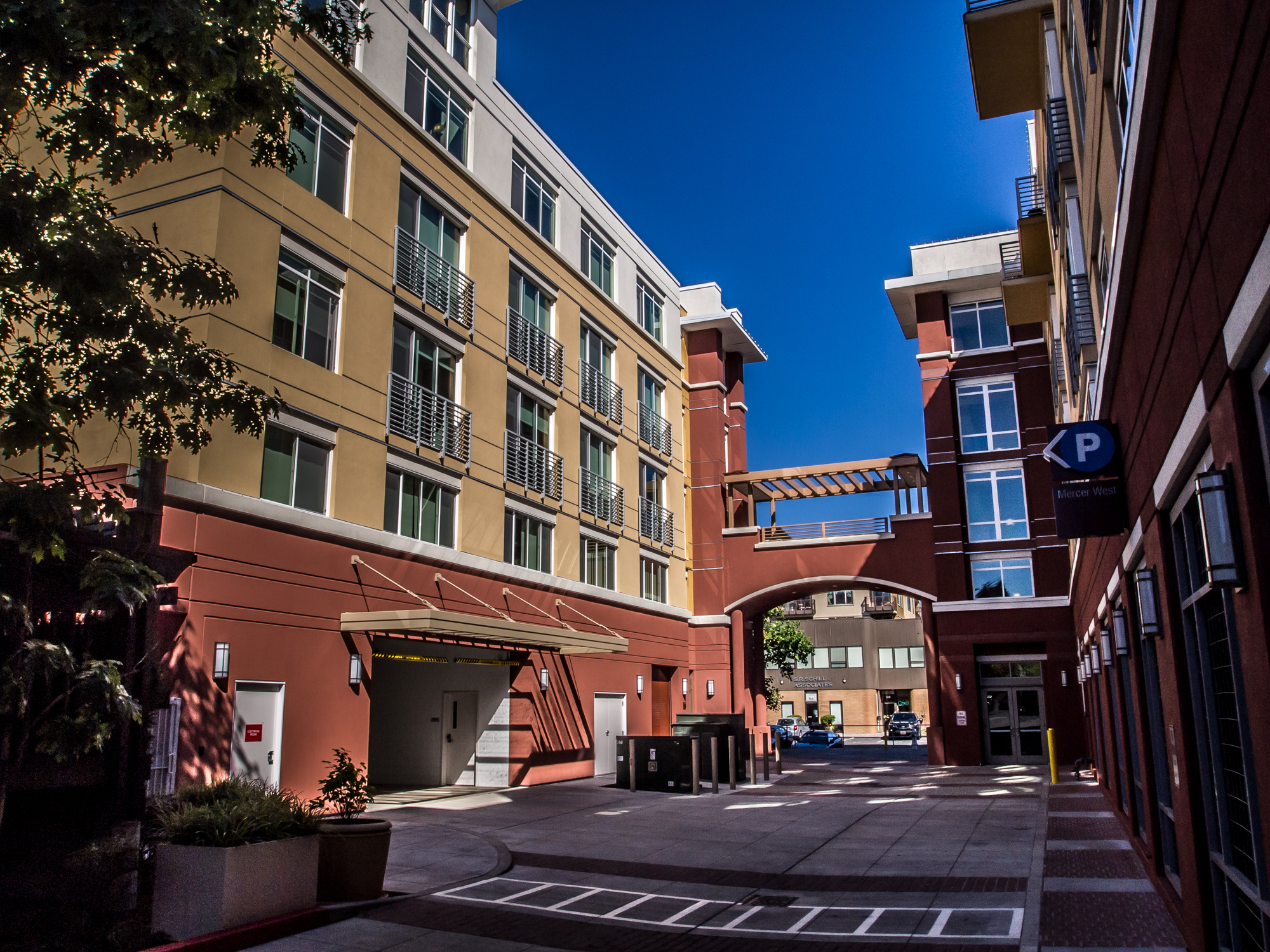 The Mercer