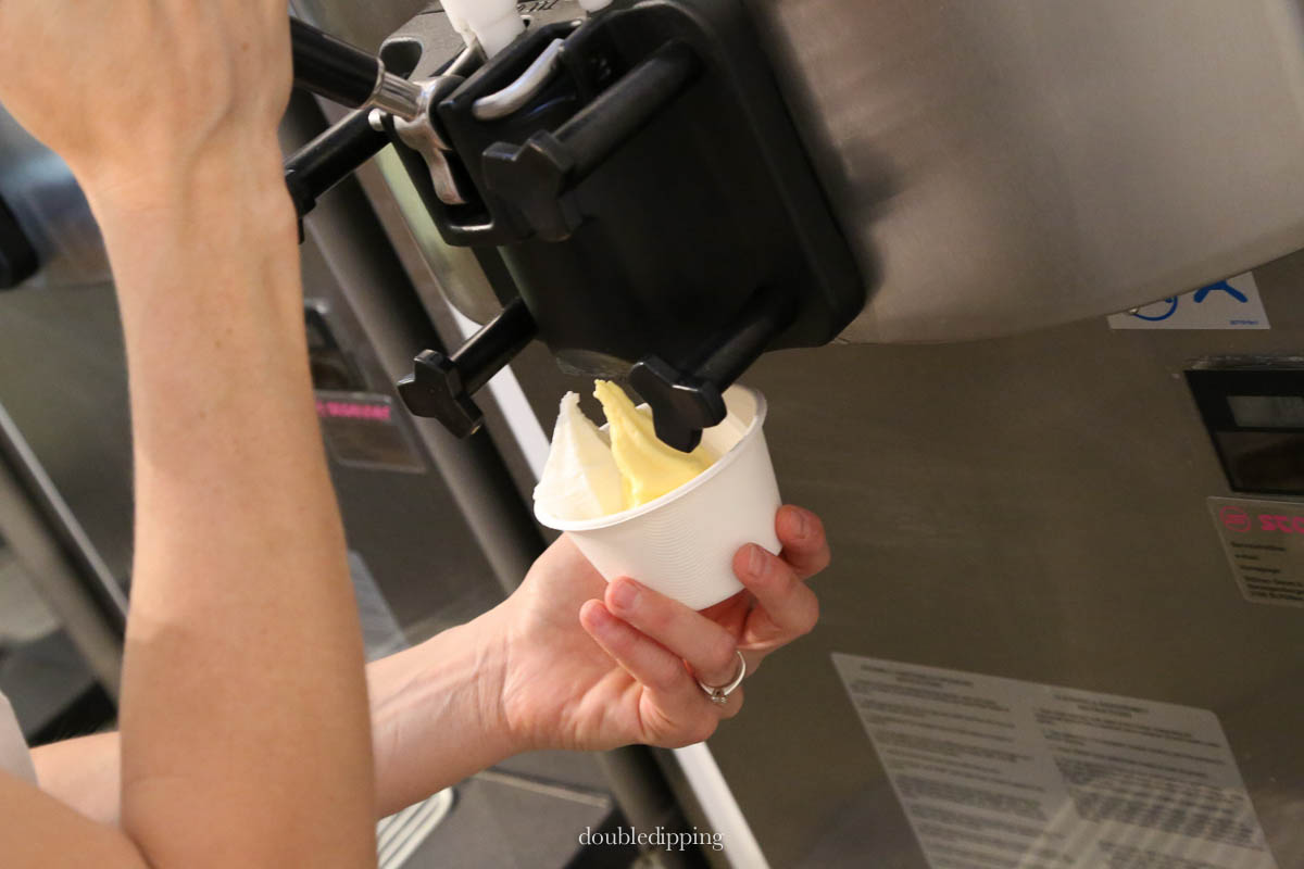 Frozen Yoghurt Vienna