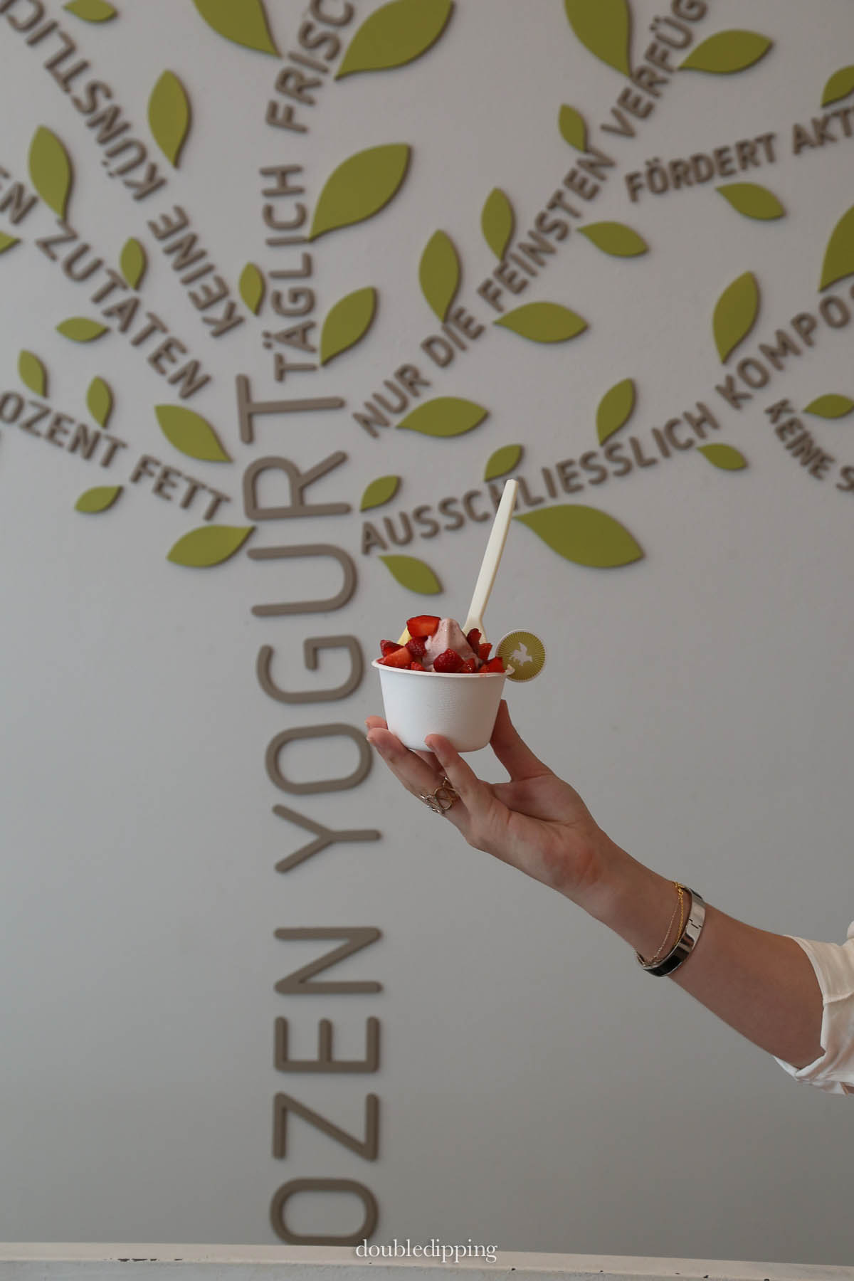 Frozen Yoghurt Vienna