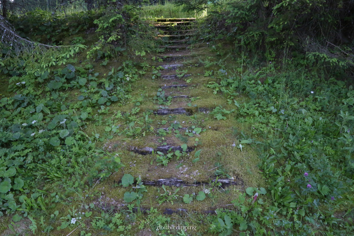 7L8A8210.jpg