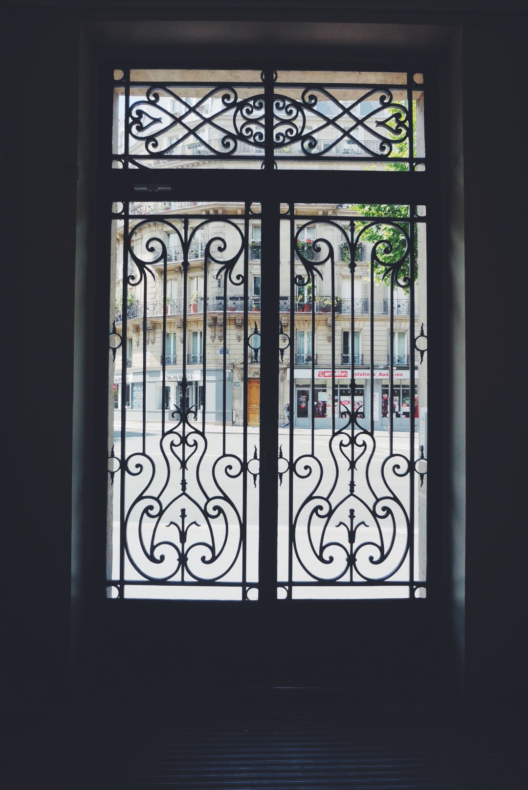 Paris Doors