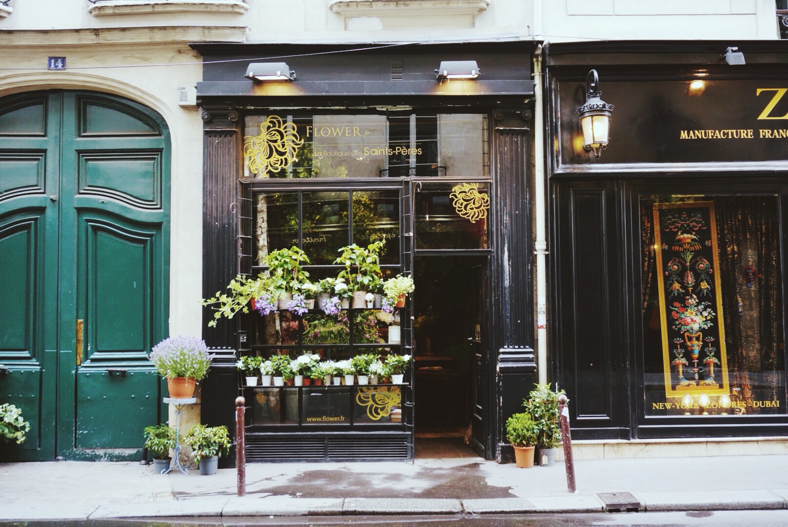 Paris Doors