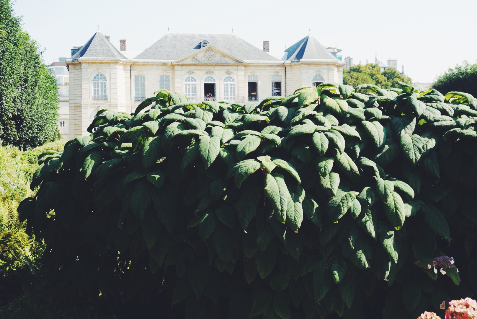 Musee Rodin Paris