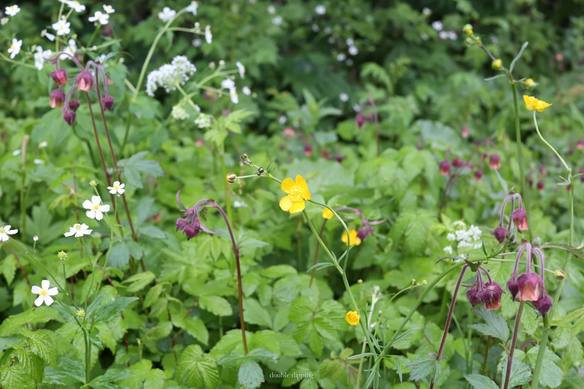 Sunday Snapshots XIX - Water