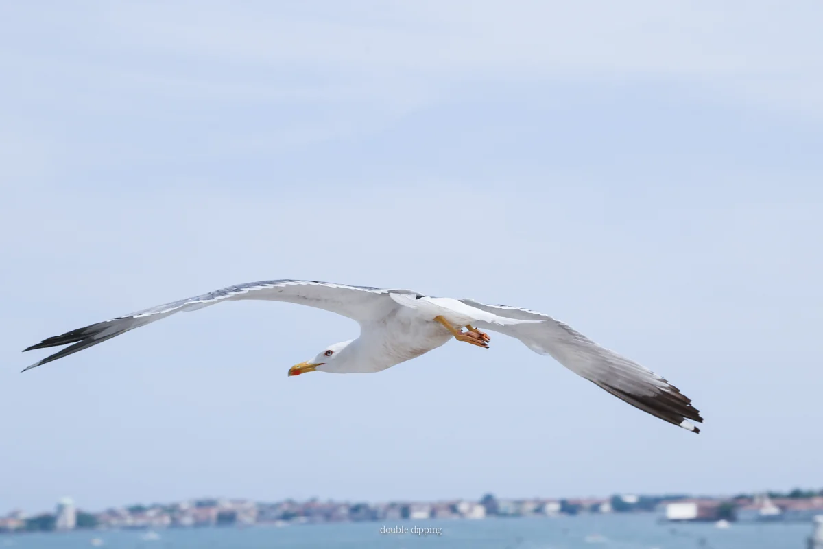 Sunday Snapshots XXIII 