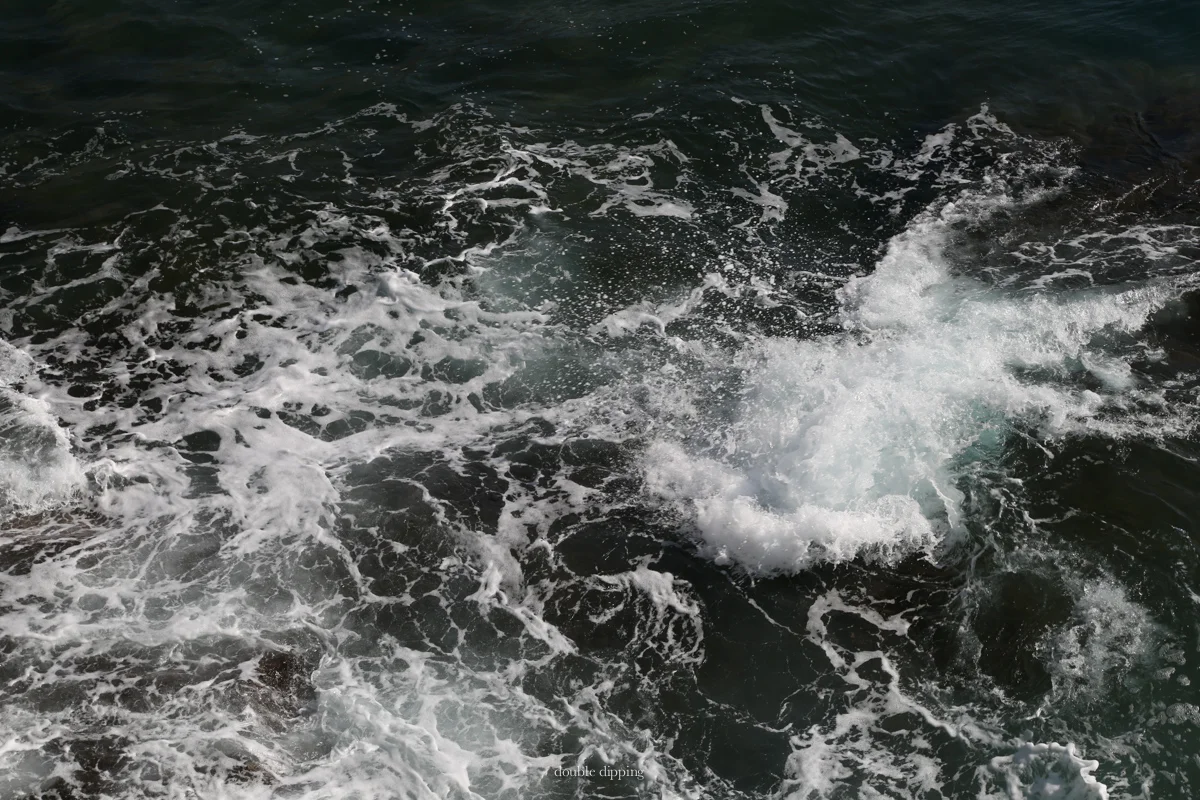 Sunday Snapshots XXI