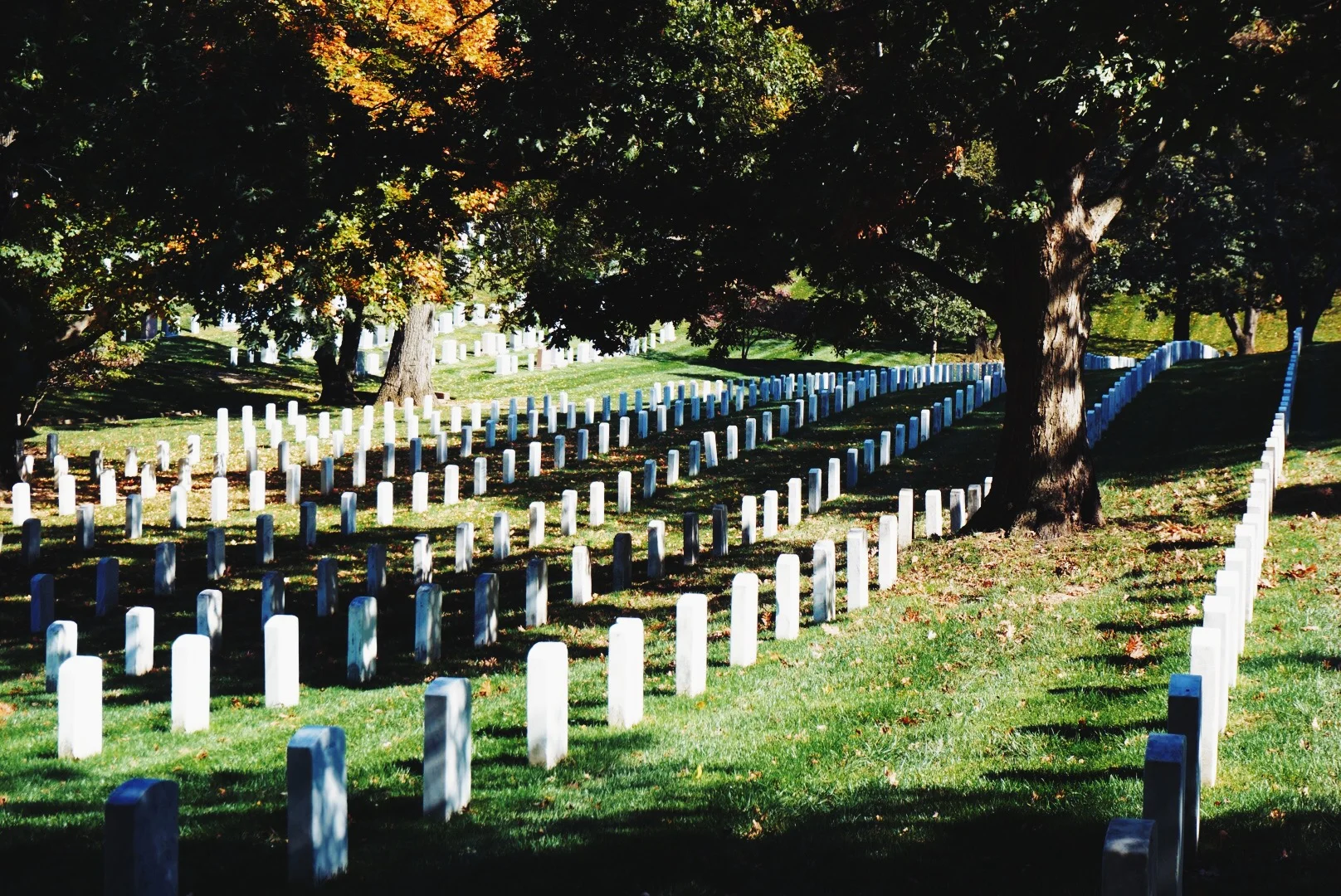 Arlington Cemetery