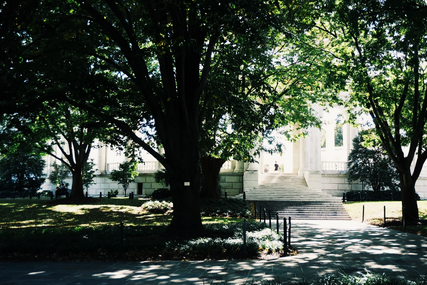 Arlington Cemetery