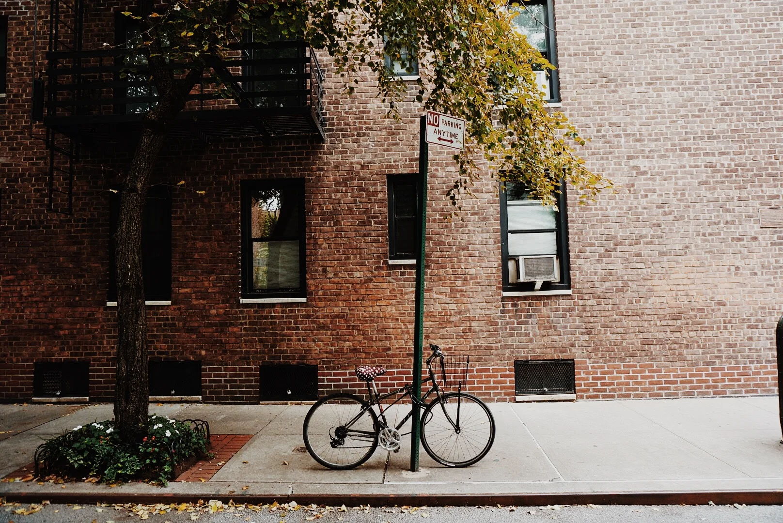 Fall in West Village