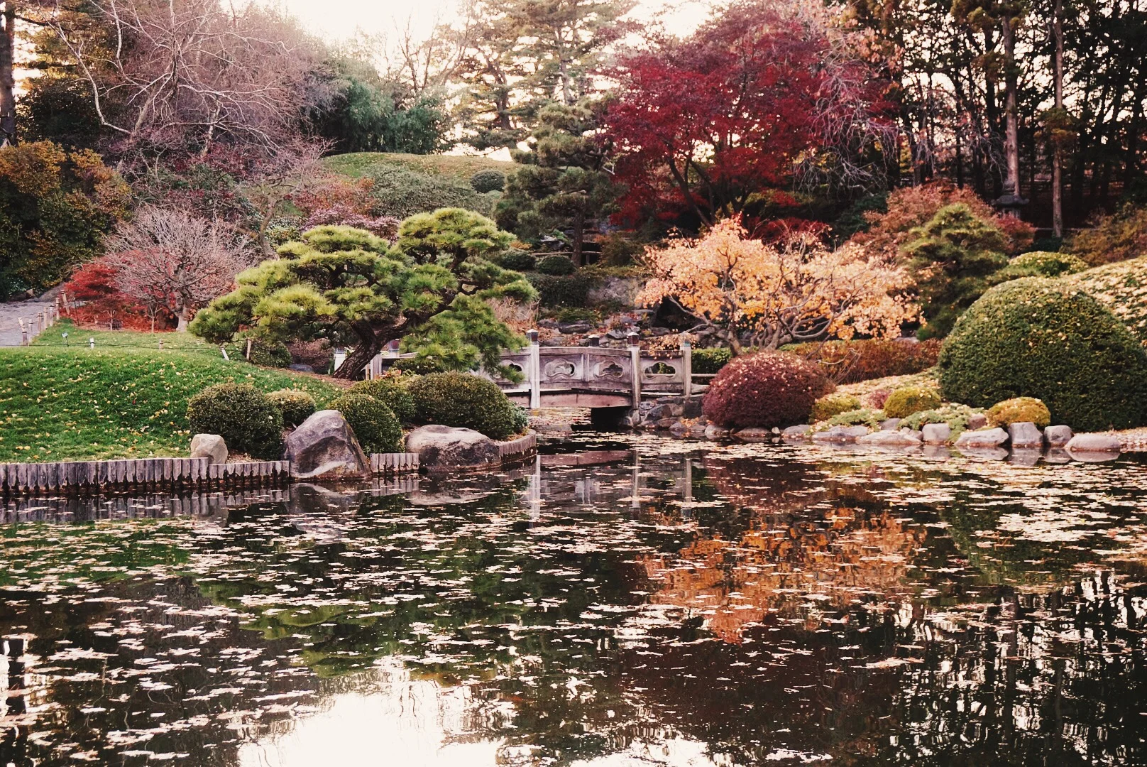 Brooklyn Botanical Gardens