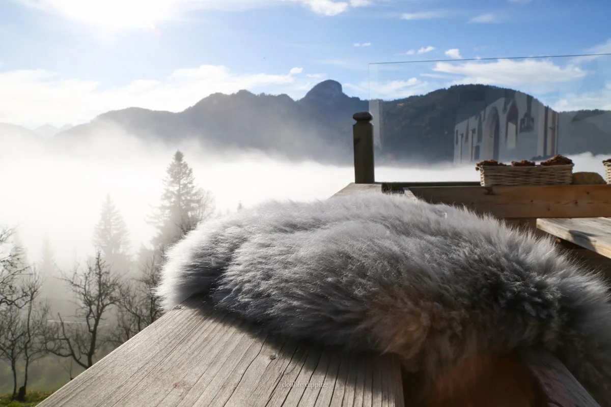 Sunday Snapshots - Salzburg