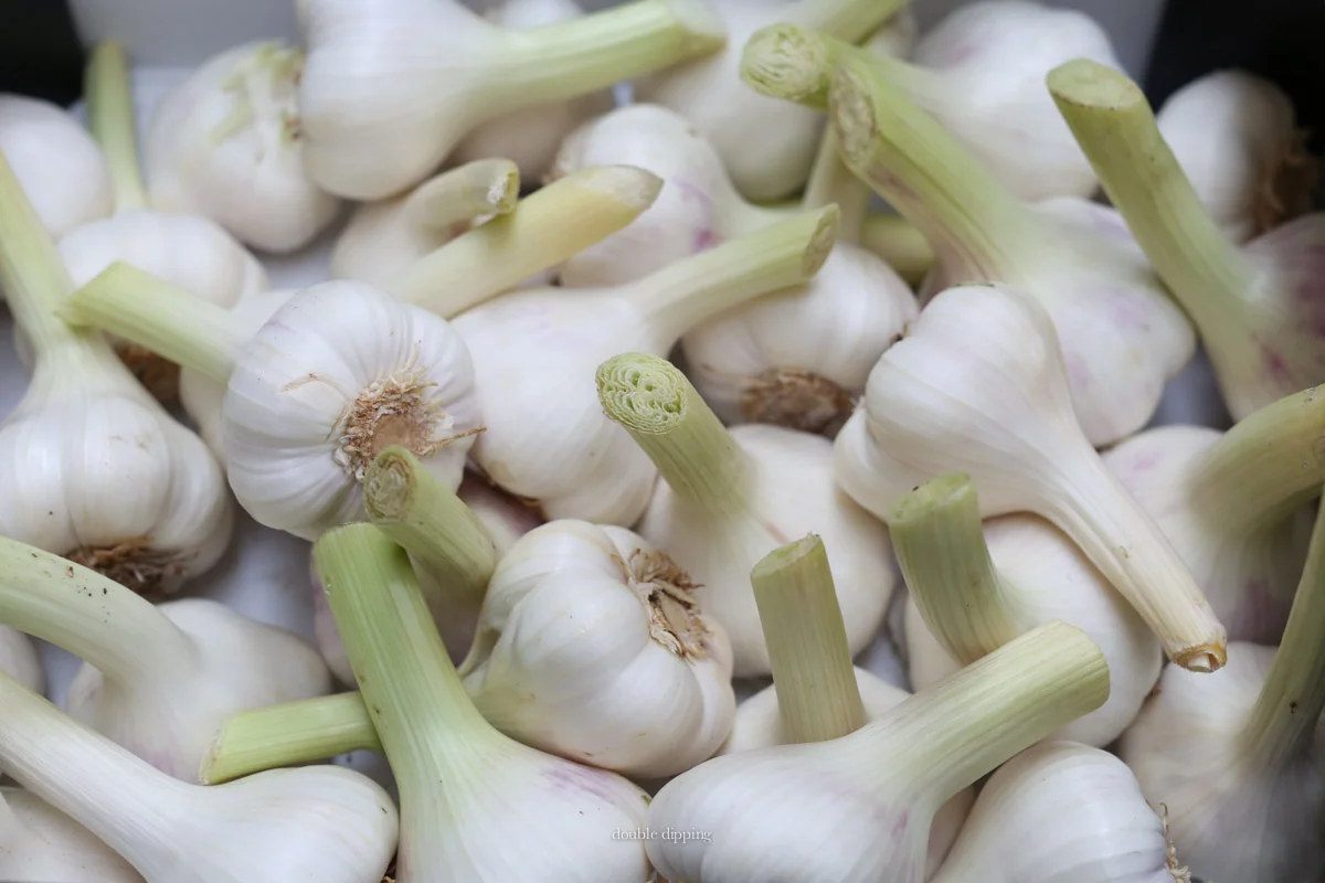 Garlic Confit – Tamed and Sweet