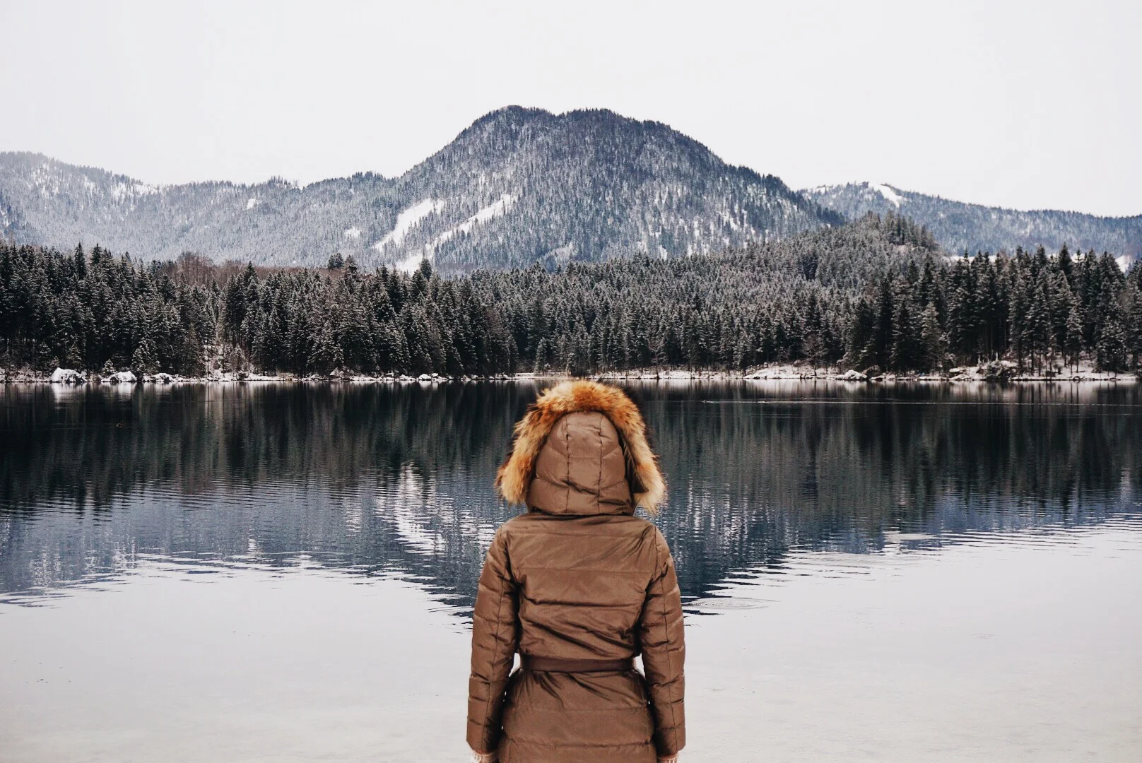 Sunday Snapshots - Winter Wonderland