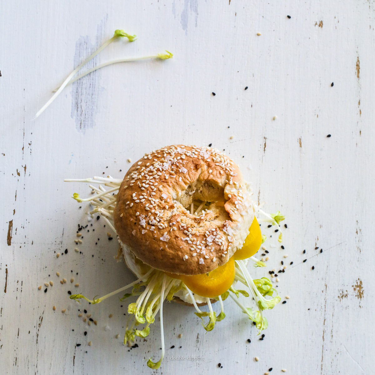 Best fresh bagel recipe