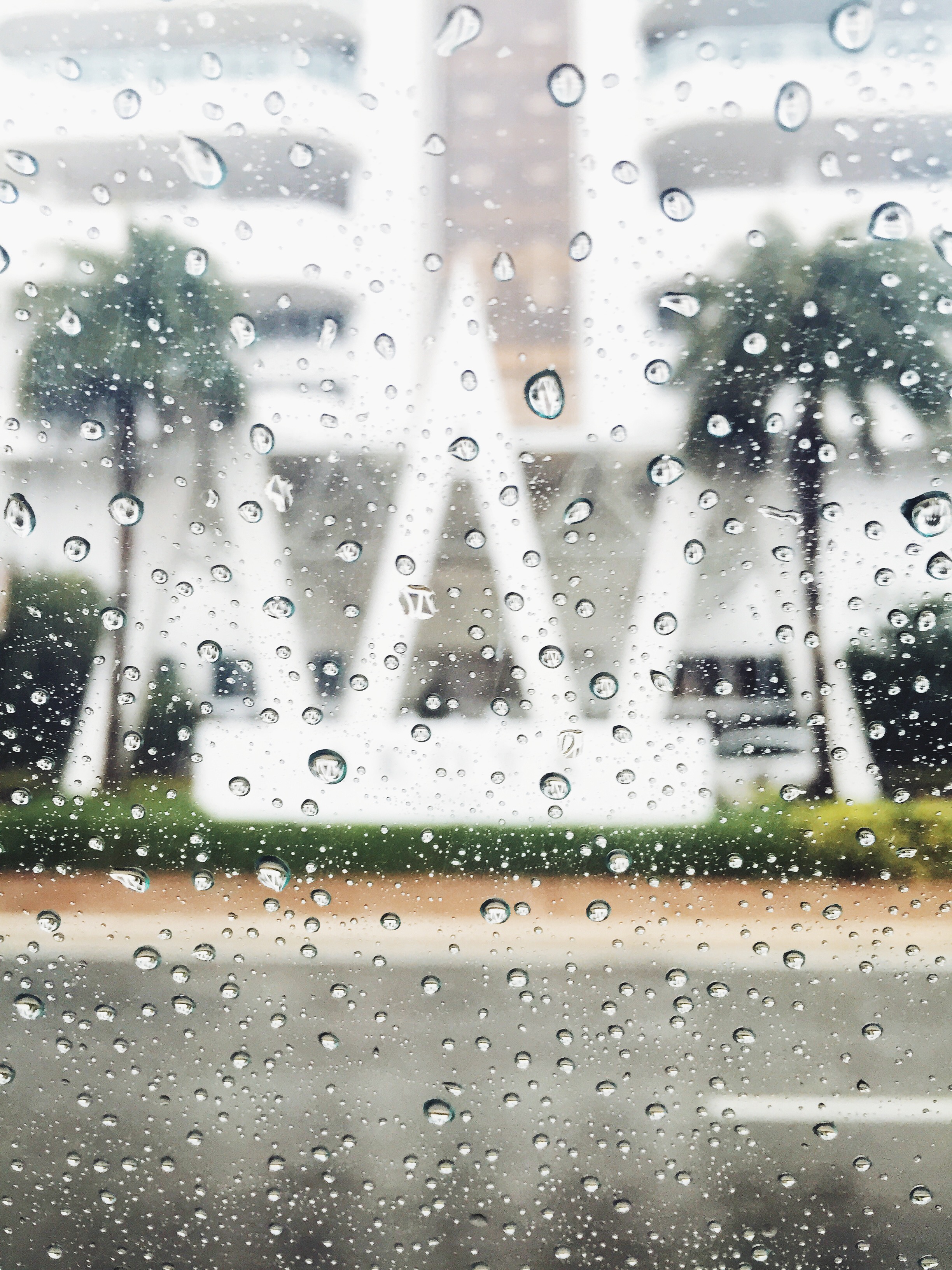 what to do in miami when it rains
