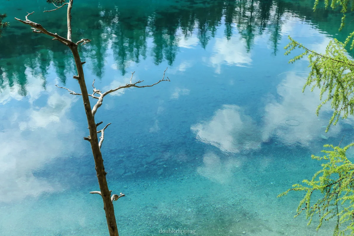 Sunday Snapshots - Emerald