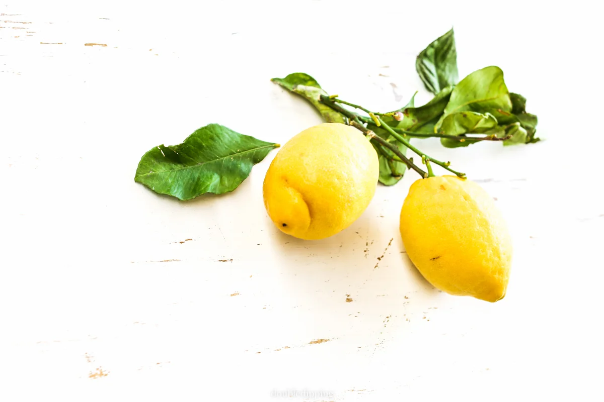Moroccan Preserved Lemons
